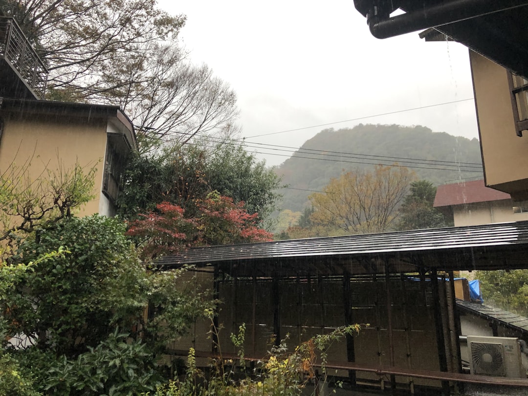 Discover Japan's Charming Airbnbs: 11 Top Rentals from Tokyo to the… — Discover Japan's Charming Airbnbs