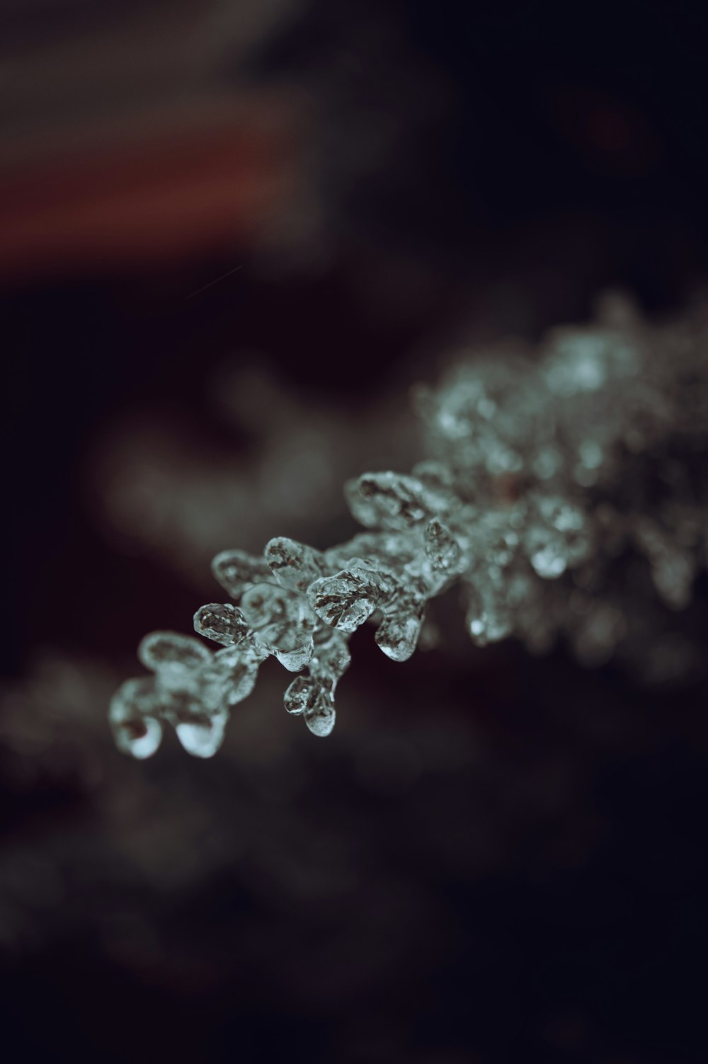 a black and white photo of snow flakes