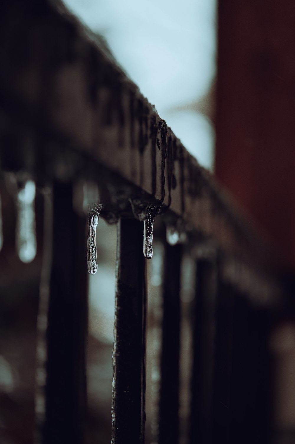 icicles hanging from a metal railing in the snow