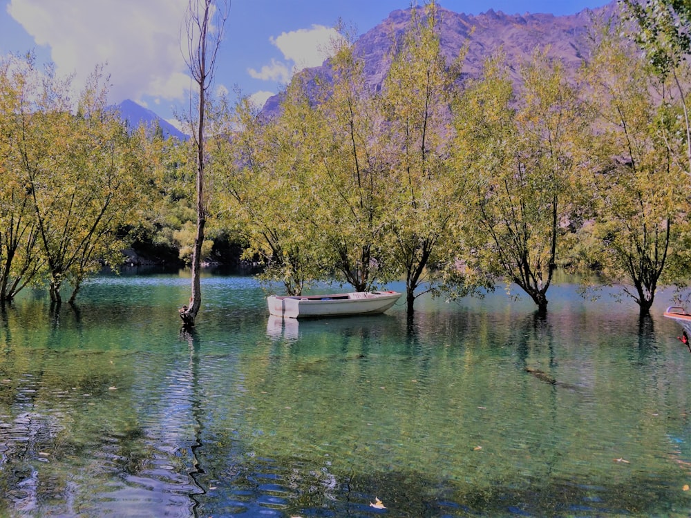Una barca che galleggia sulla cima di un lago circondata da alberi