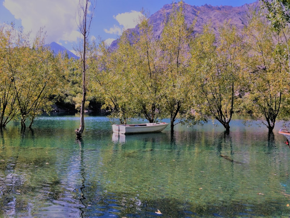 a boat floating on top of a lake surrounded by trees