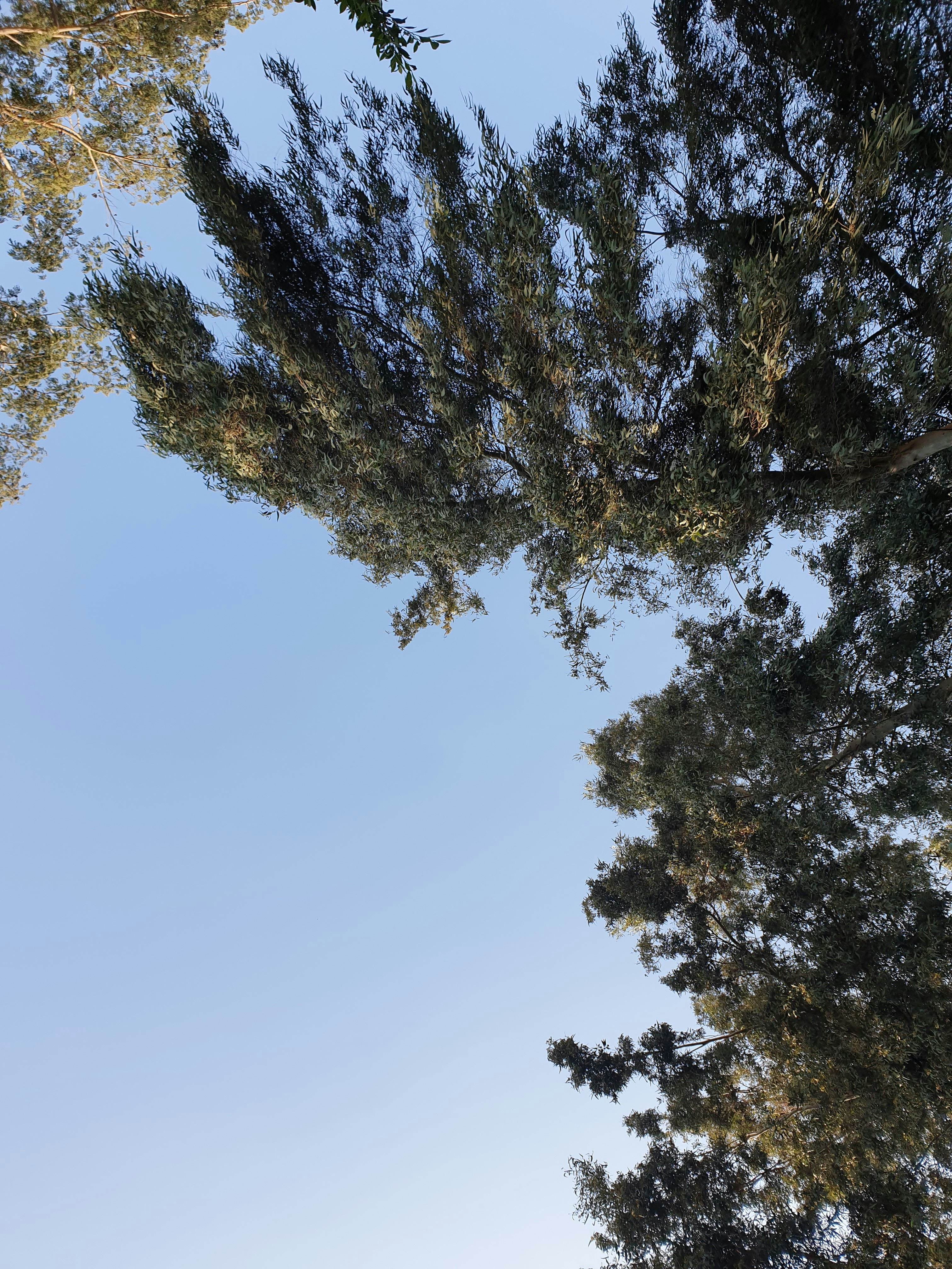 Photo by rehab_issa78