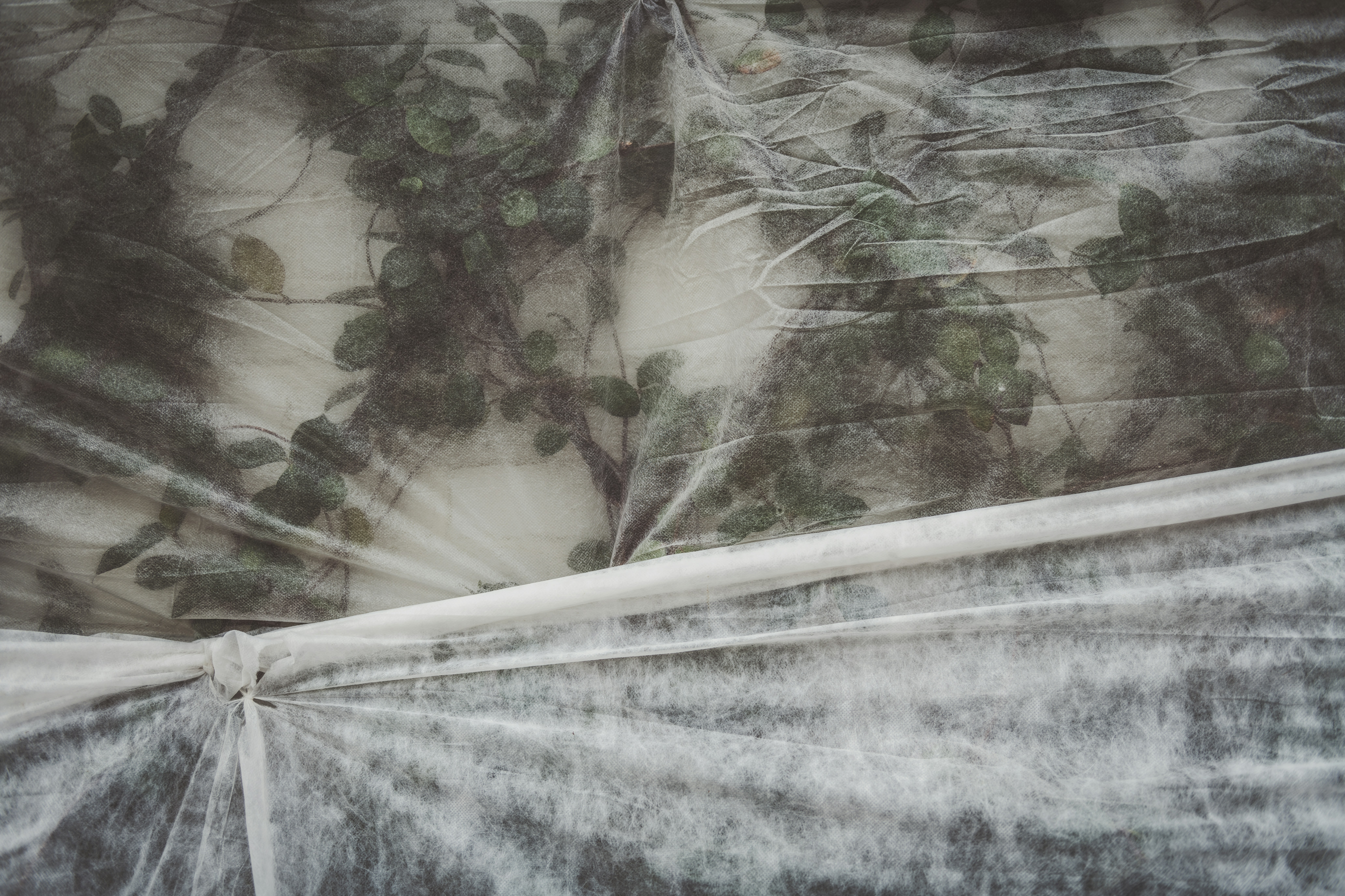 a bed covered in a white sheet with trees on it, I was visiting Magnolia Market just after they had frost-protected their gardens from a cold snap. The added texture of the fabric caught my eye. 