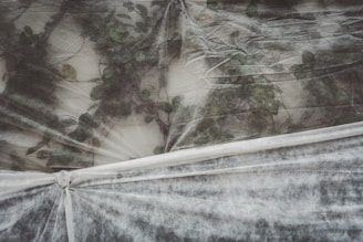 Катерливо растение, увито в бял мразоустойчив покрив, защитено от зимния студ.