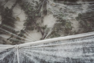 Катерливо растение, увито в бял мразоустойчив покрив, защитено от зимния студ.