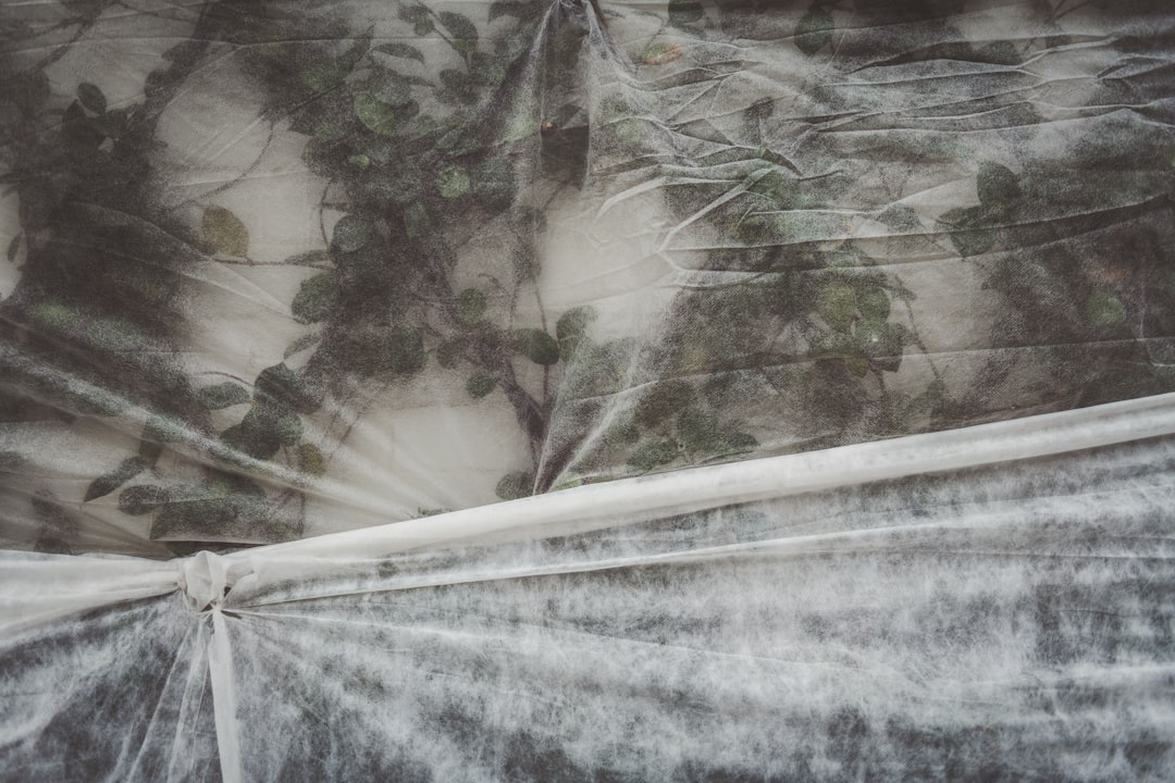 a bed covered in a white sheet with trees on it, I was visiting Magnolia Market just after they had frost-protected thei