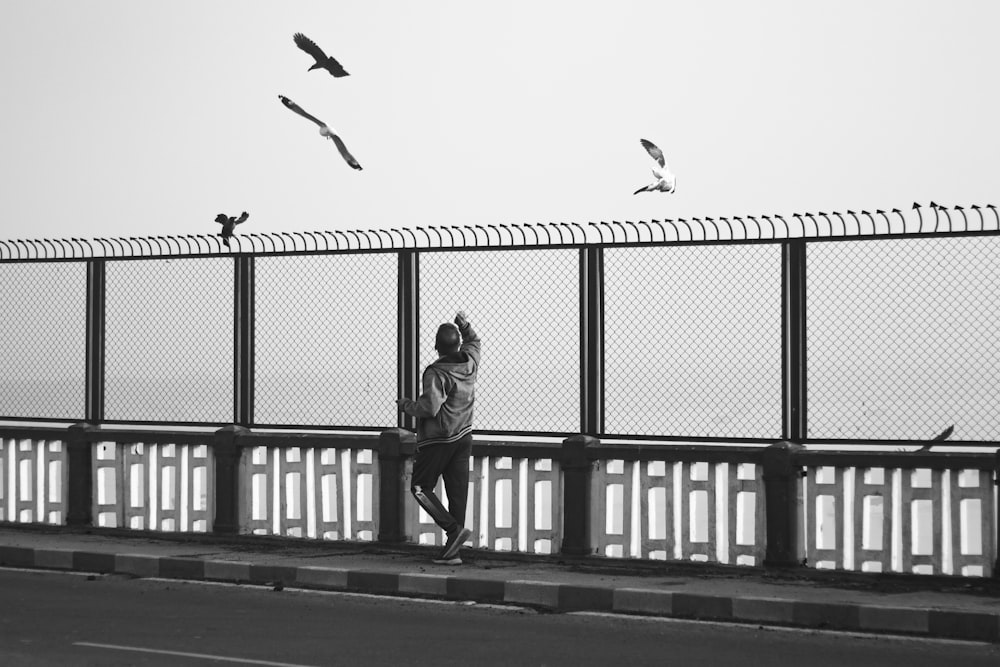 a person sitting on a fence looking at birds