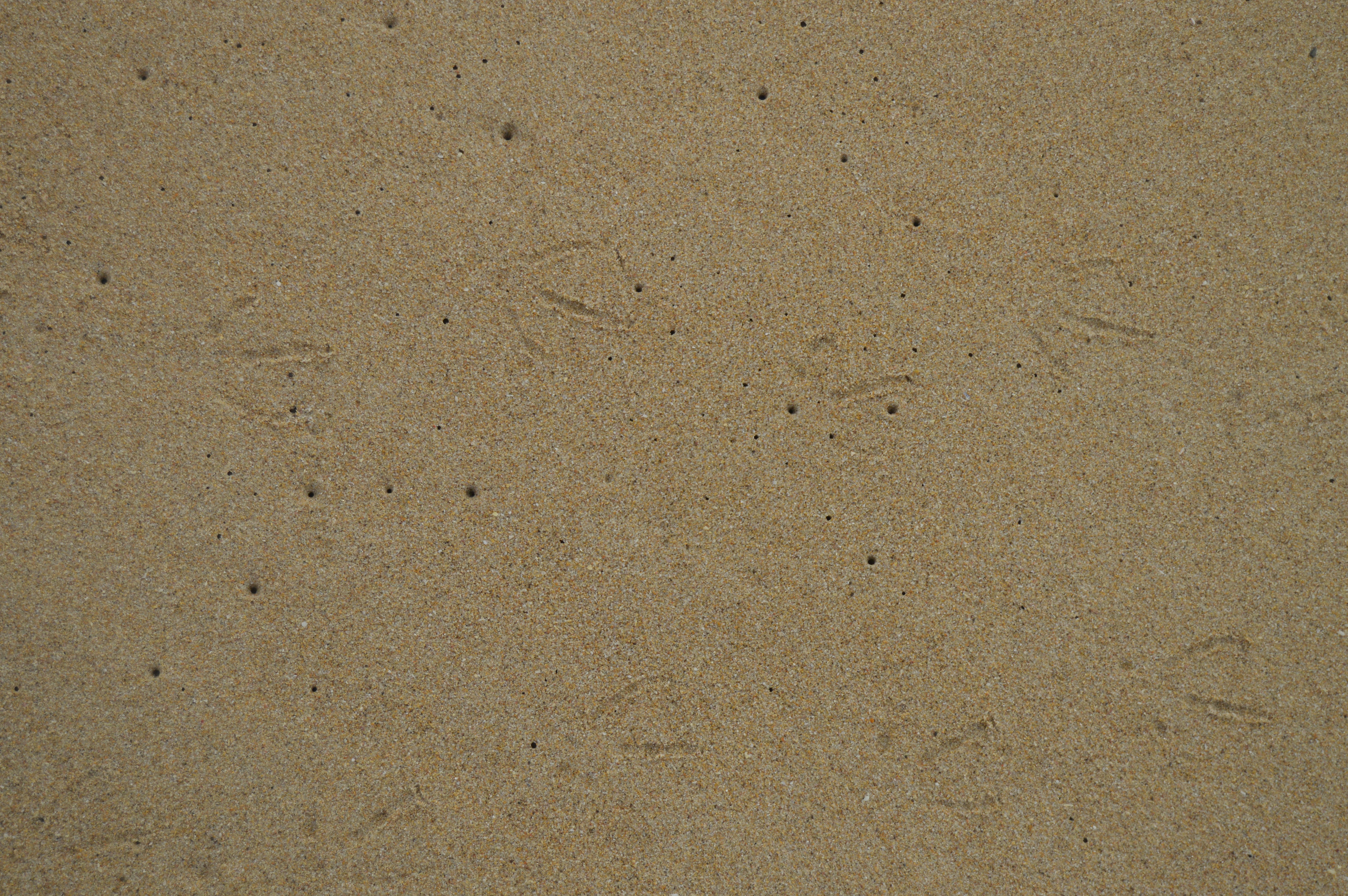 Photo by richardmultimedia