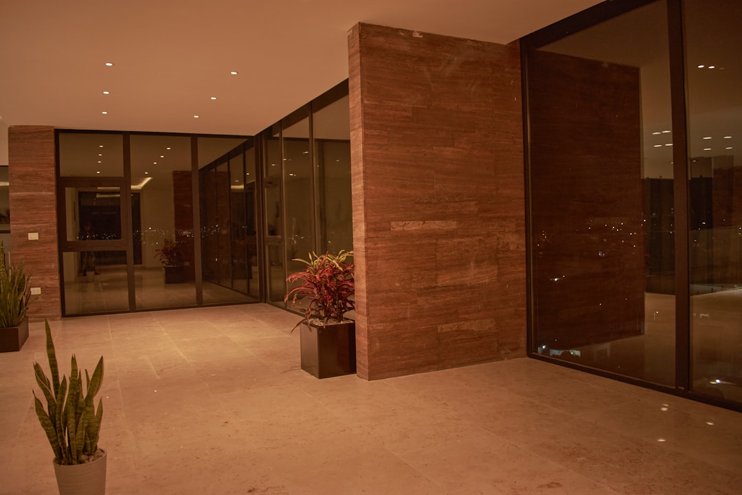 a room with a plant in the middle of it,