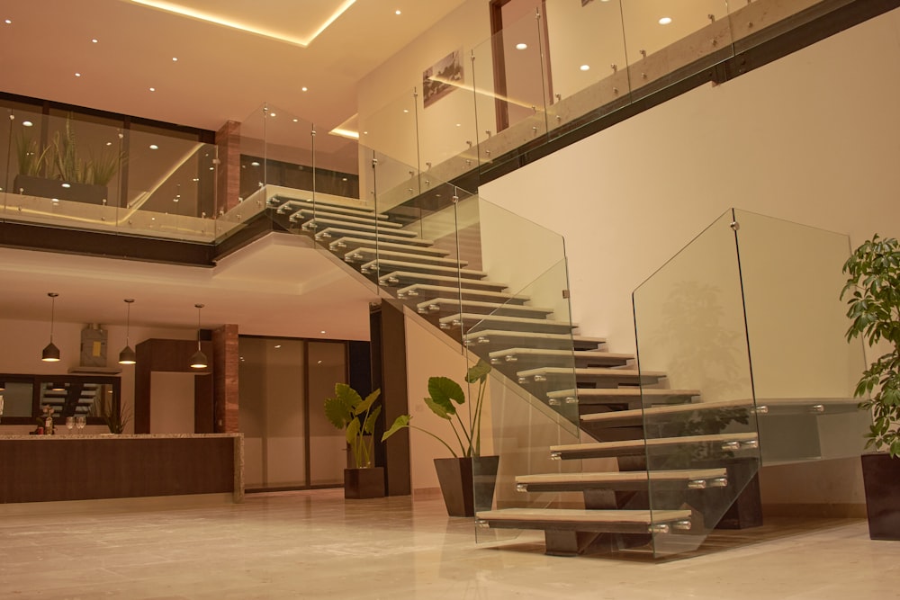 a staircase in a modern building with a plant in the foreground