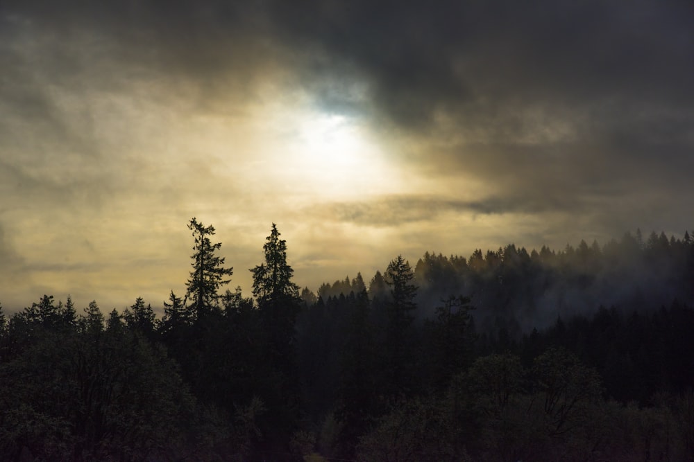 the sun is shining through the clouds over the trees