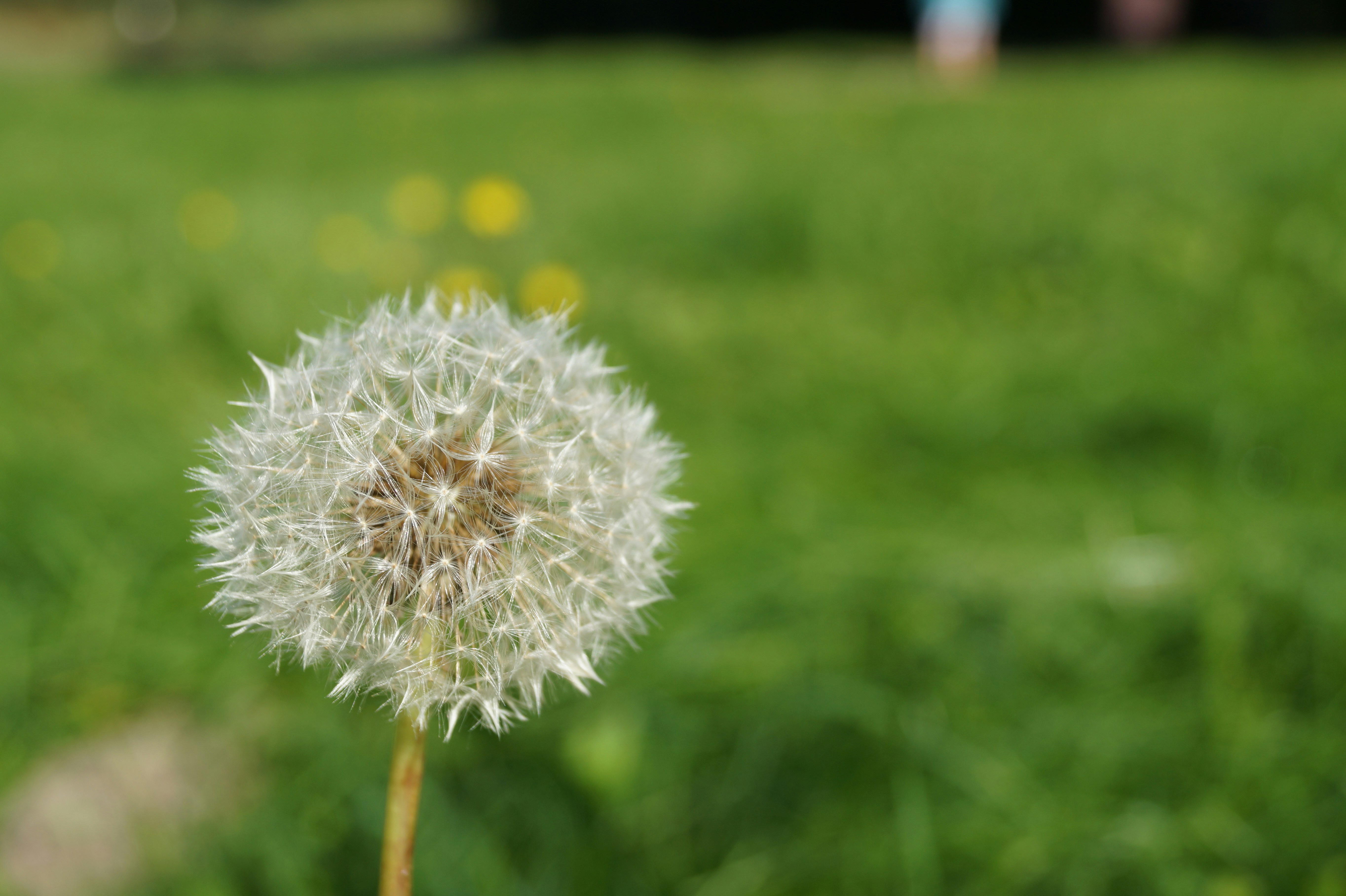 Photo by etelathamburg