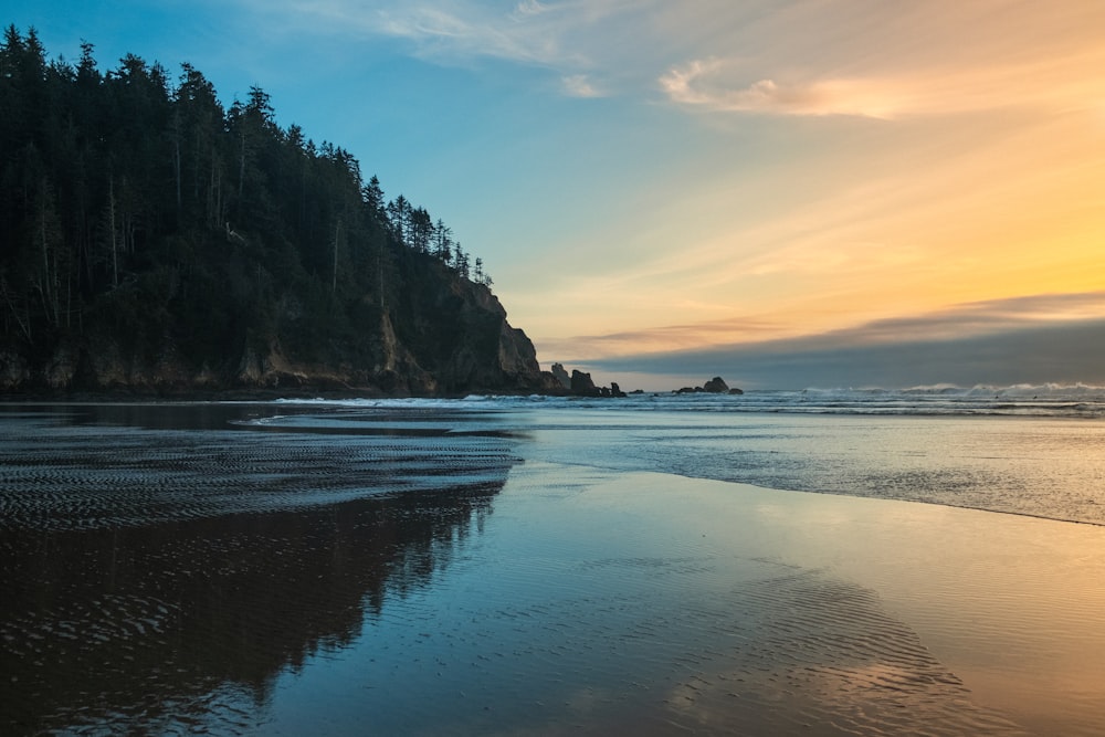 a beach that has some water and trees on it