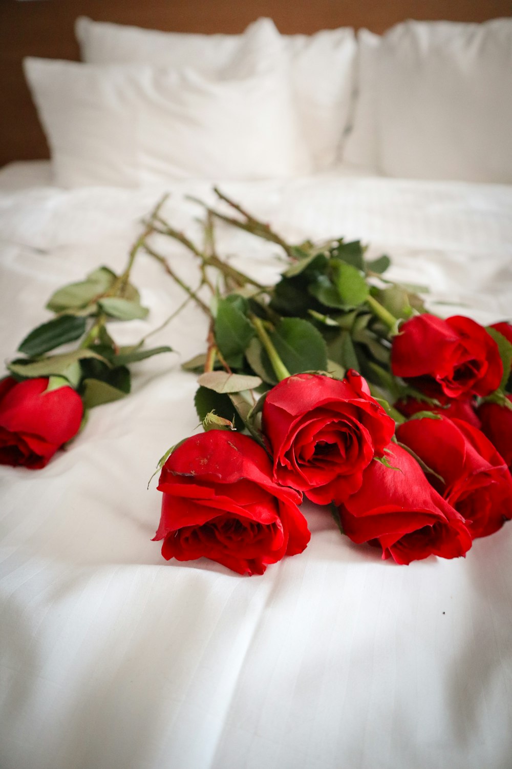 ベッドの上に横たわる赤いバラの束
