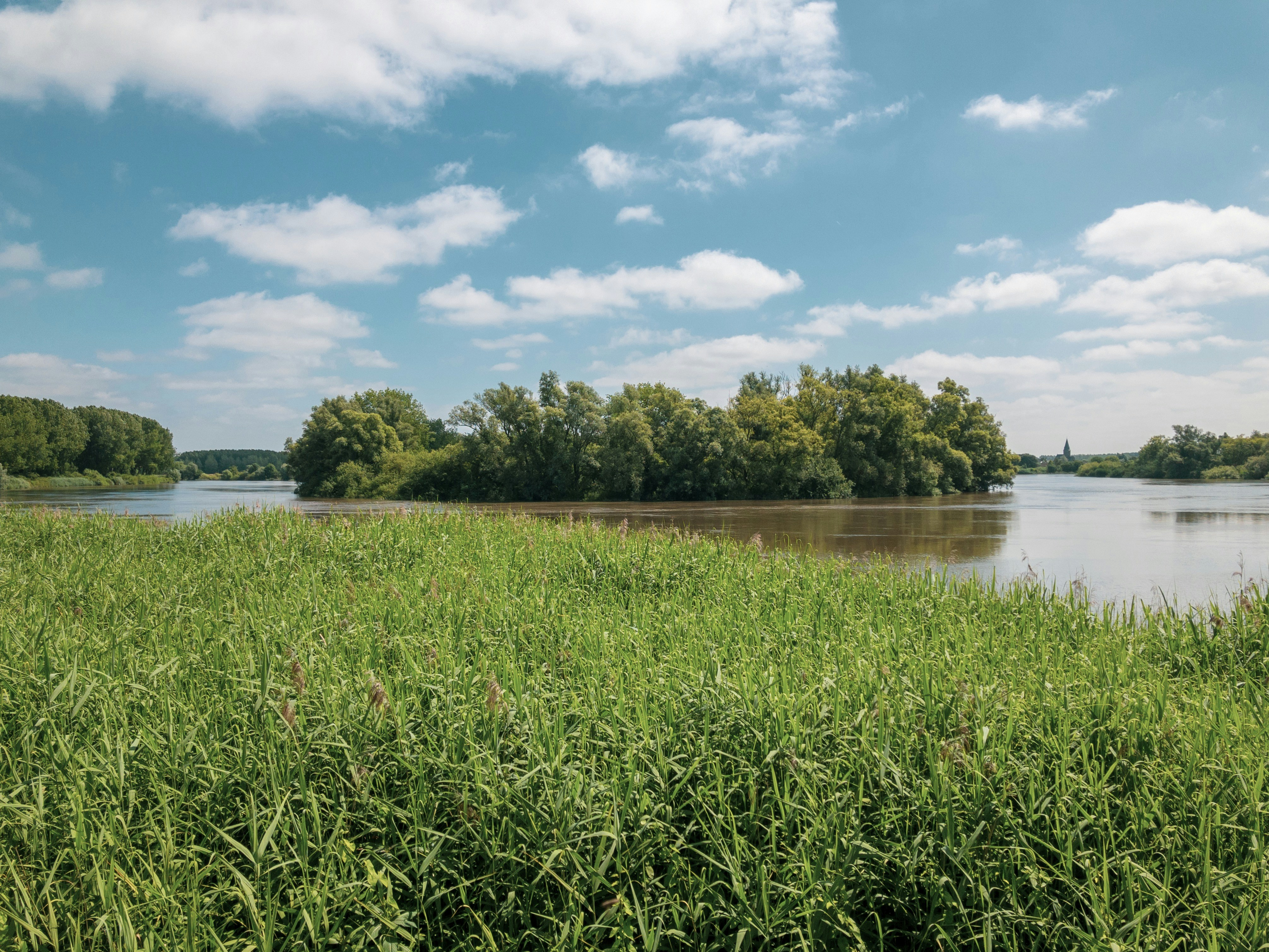 Photo by talk2improve