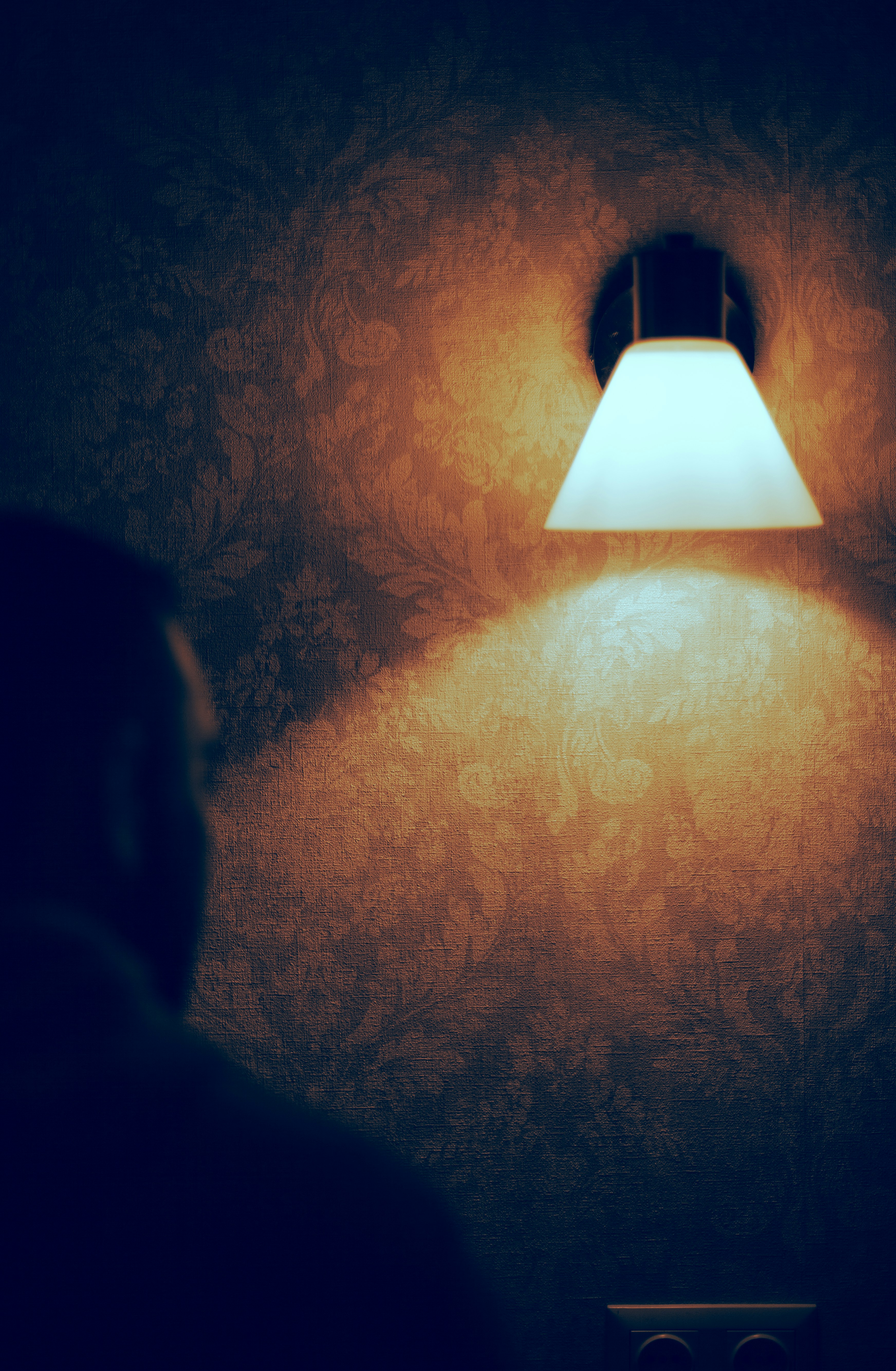 An illuminated wall lamp shines on ornate patterned wallpaper.