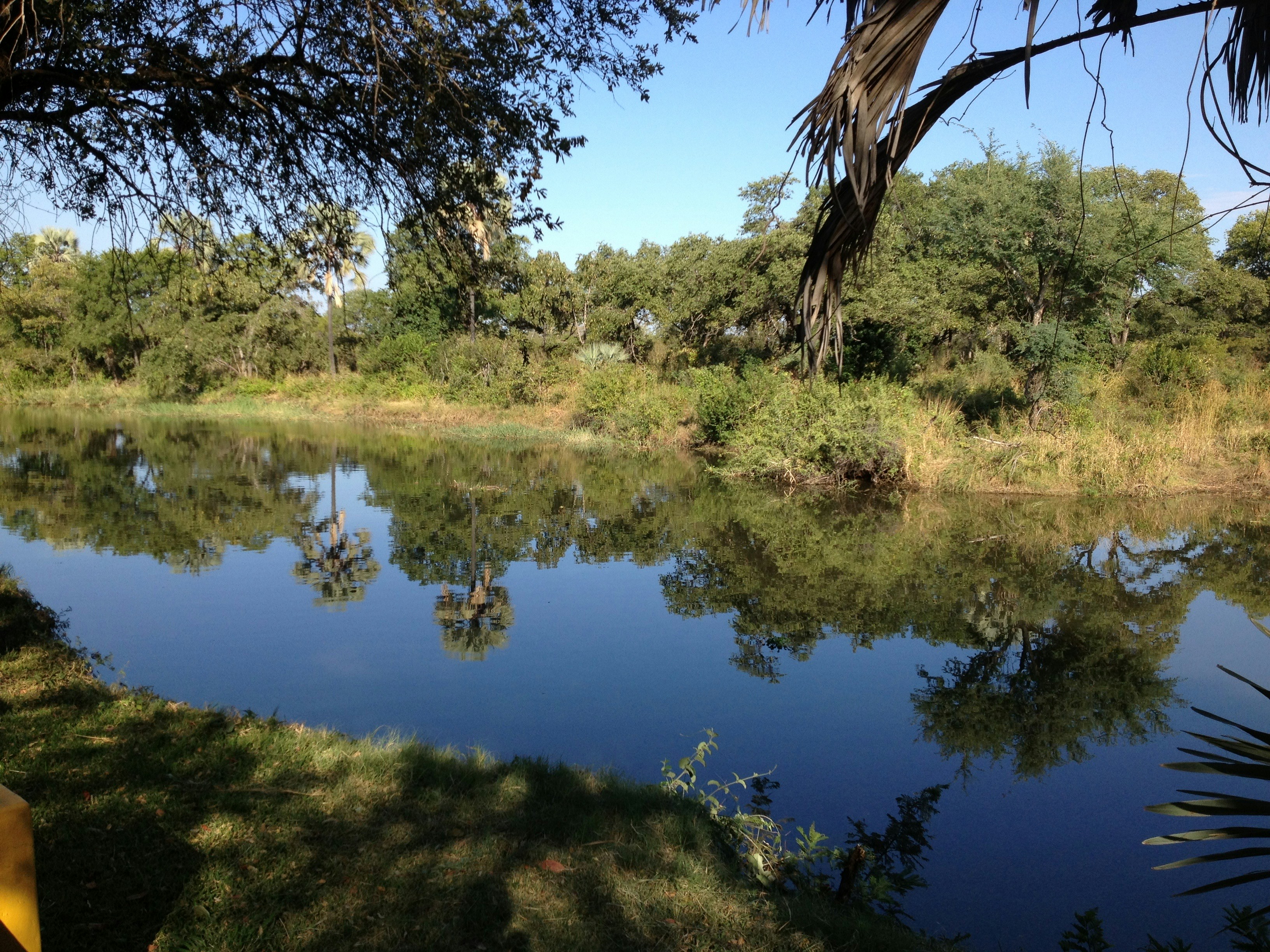 Photo by _dillongroves