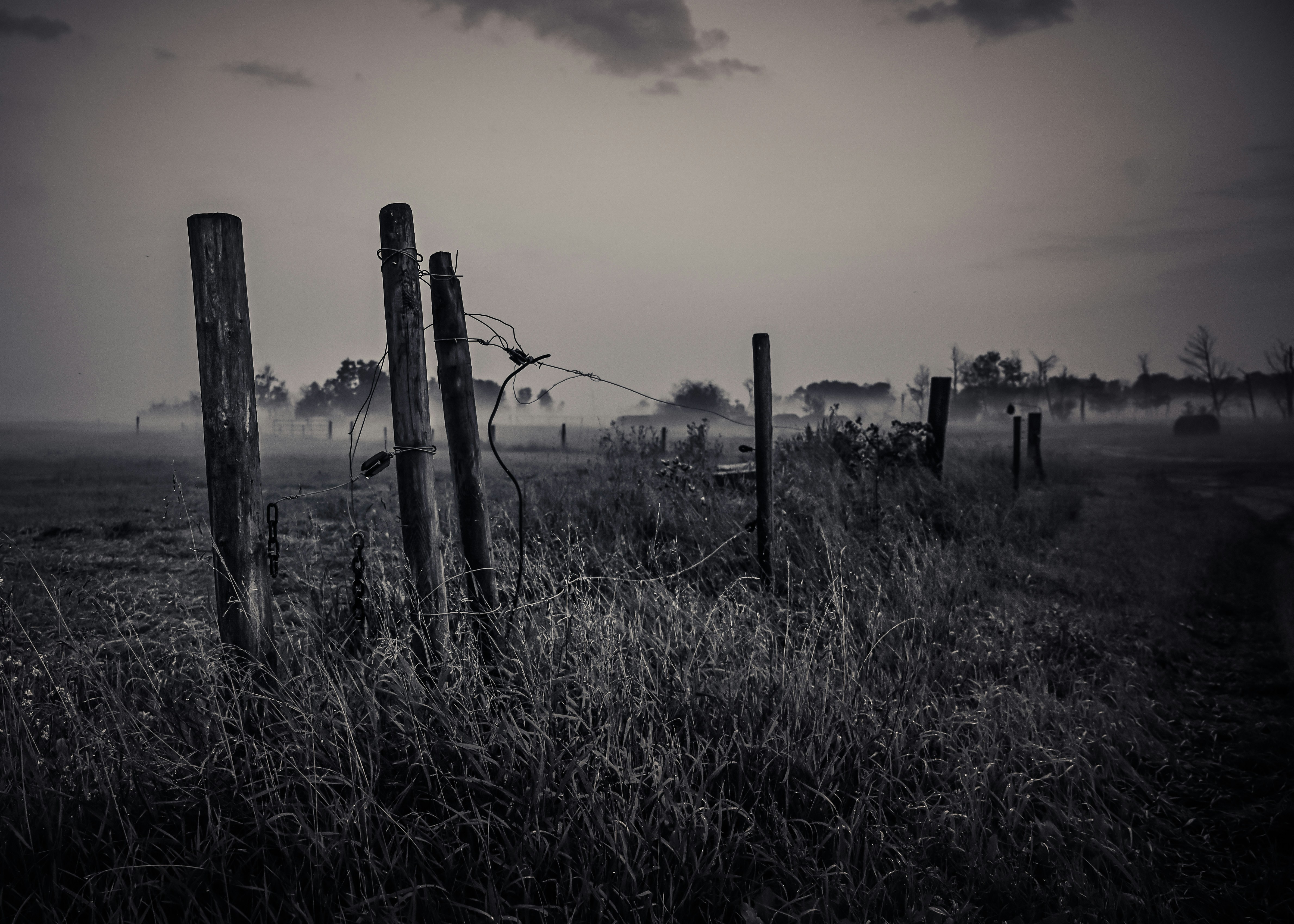 Photo by bodacious67