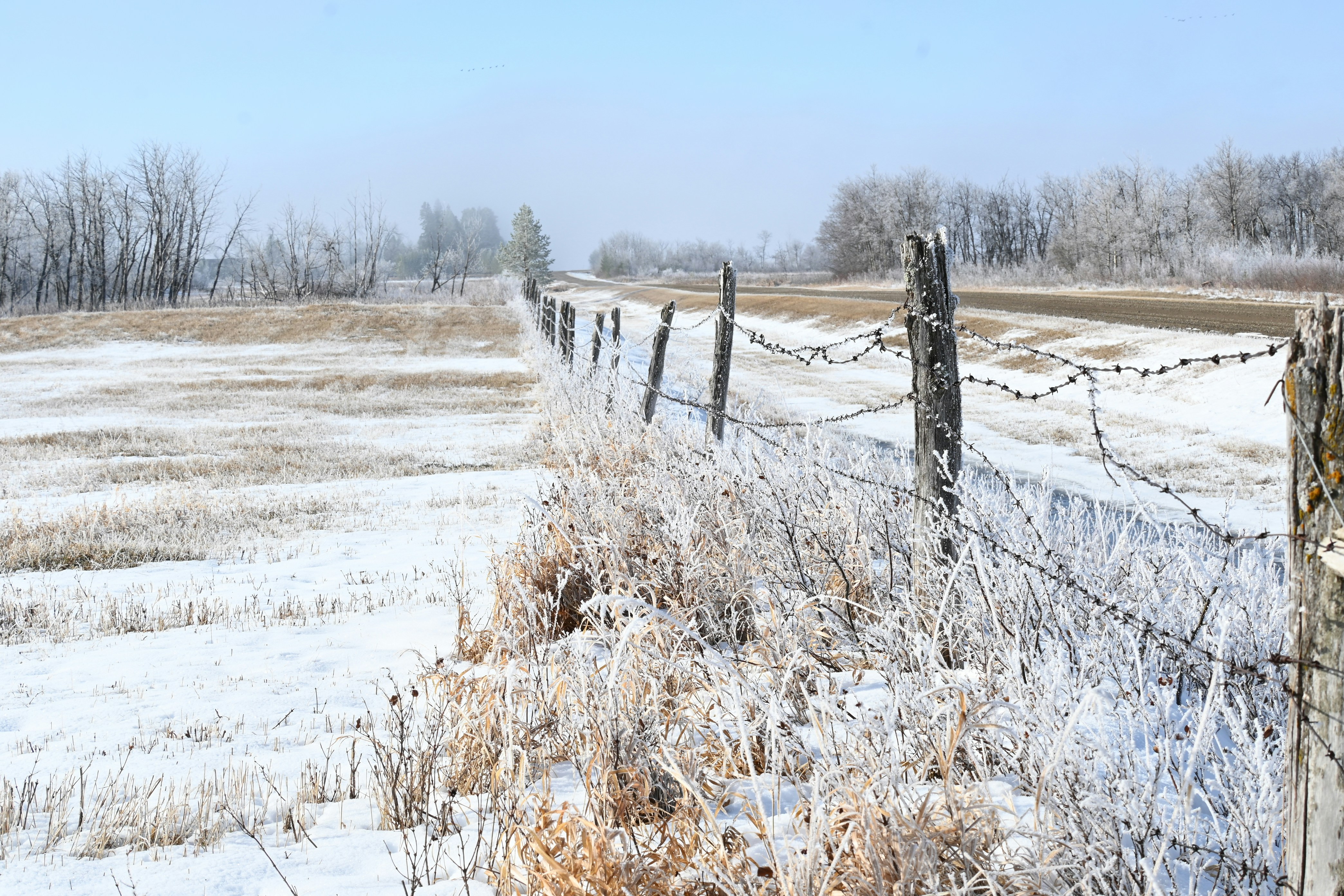 Photo by bodacious67