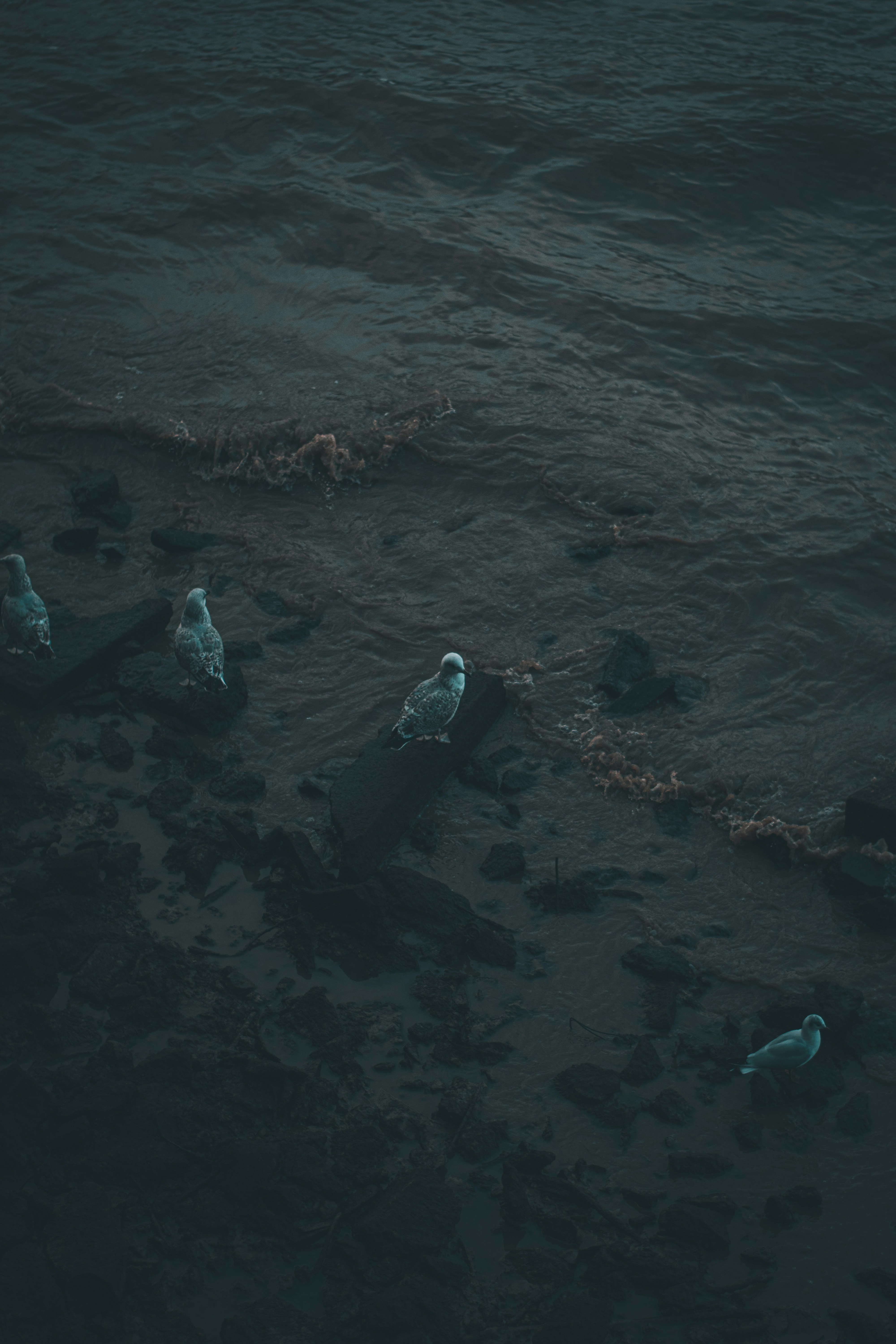 Photo by elliottmason