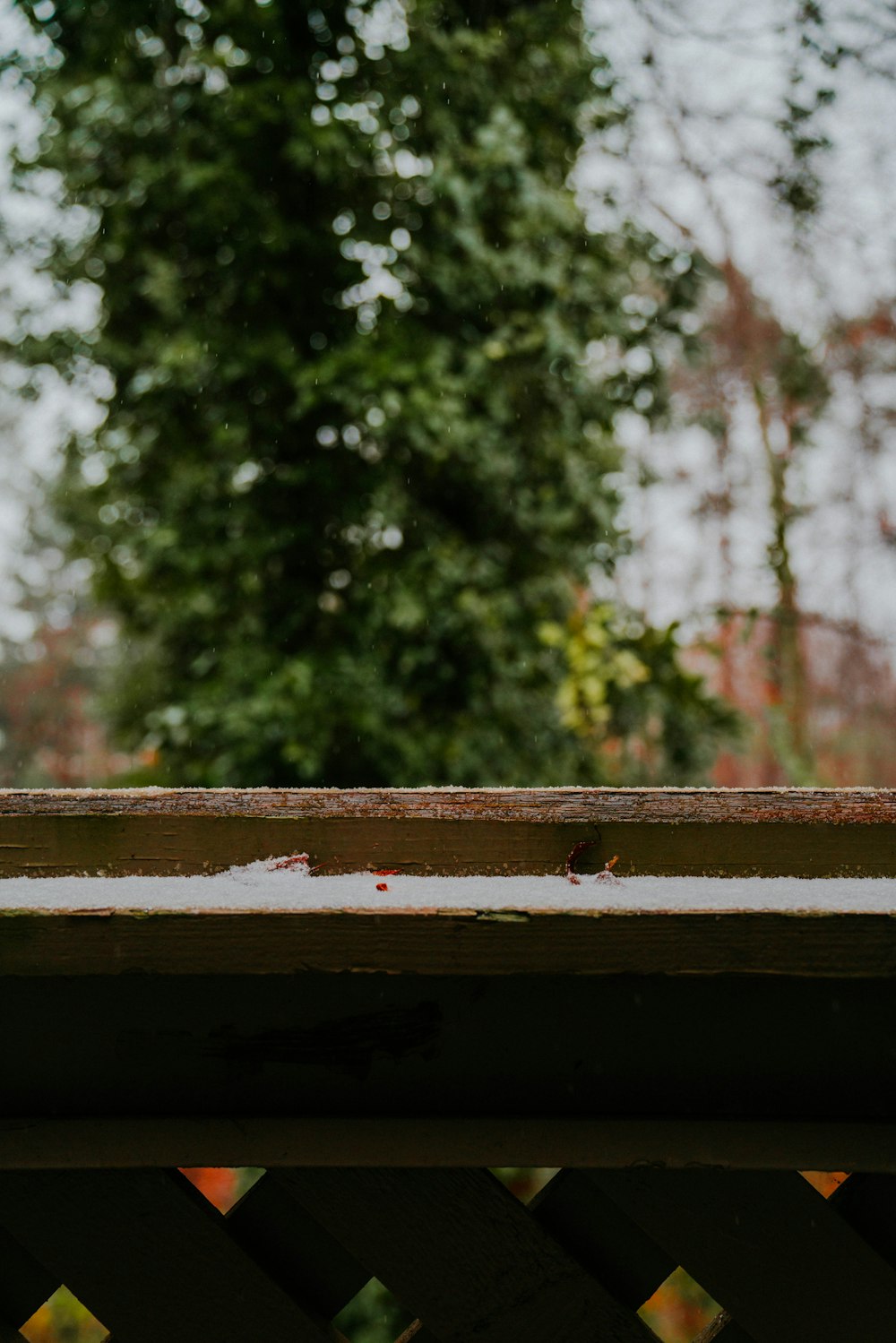 a bird is perched on a wooden fence