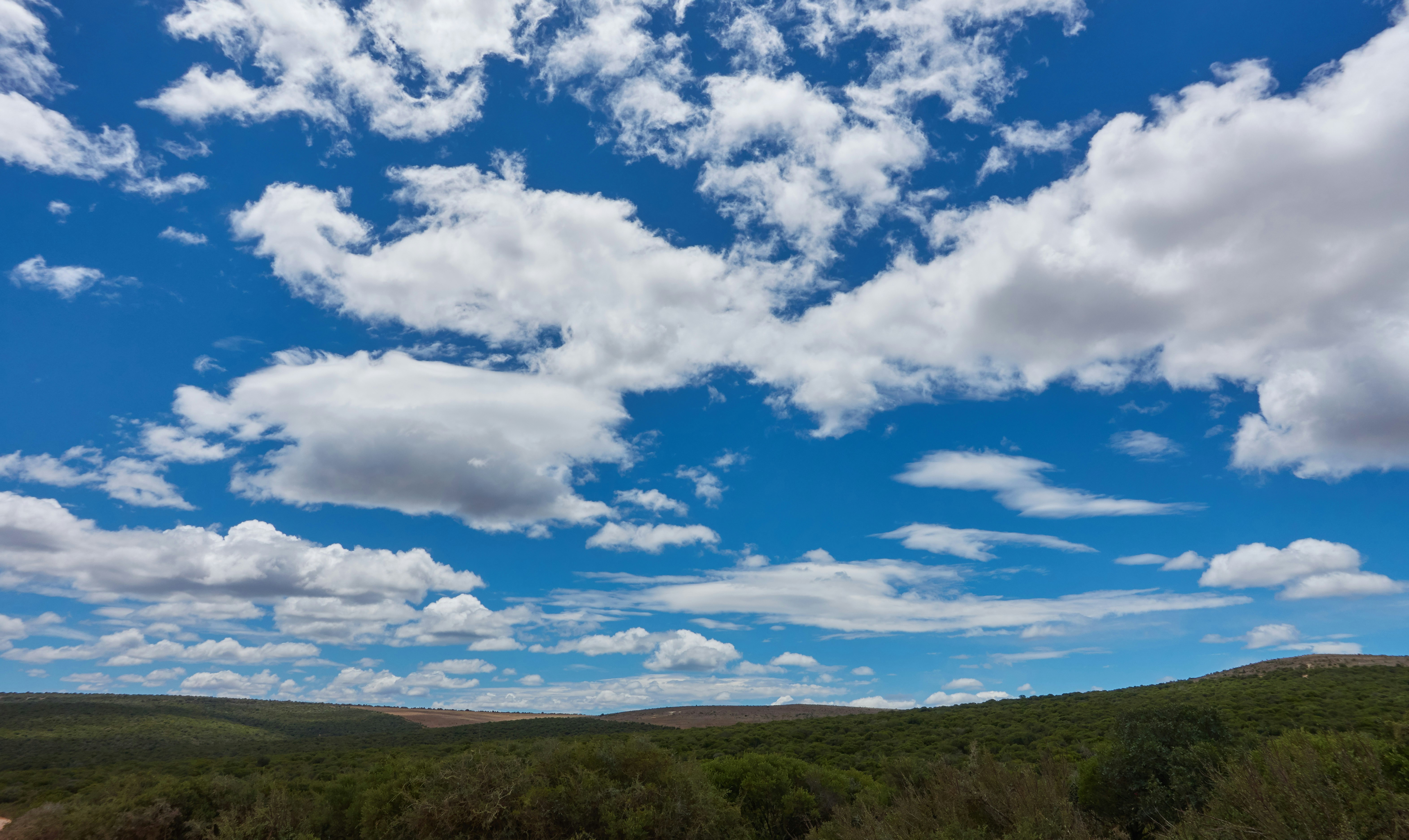 Photo by wolfgang_hasselmann