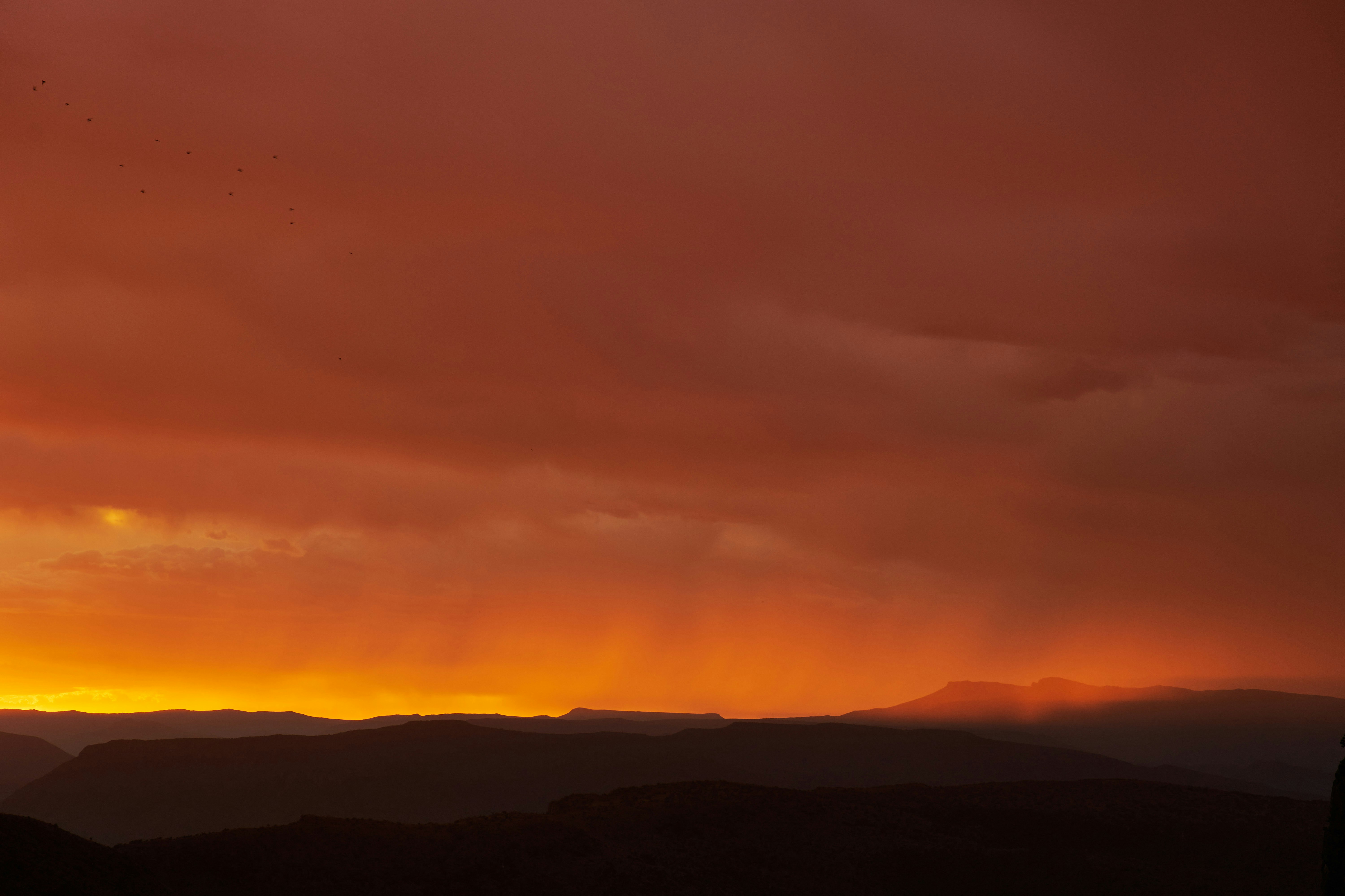 Photo by wolfgang_hasselmann