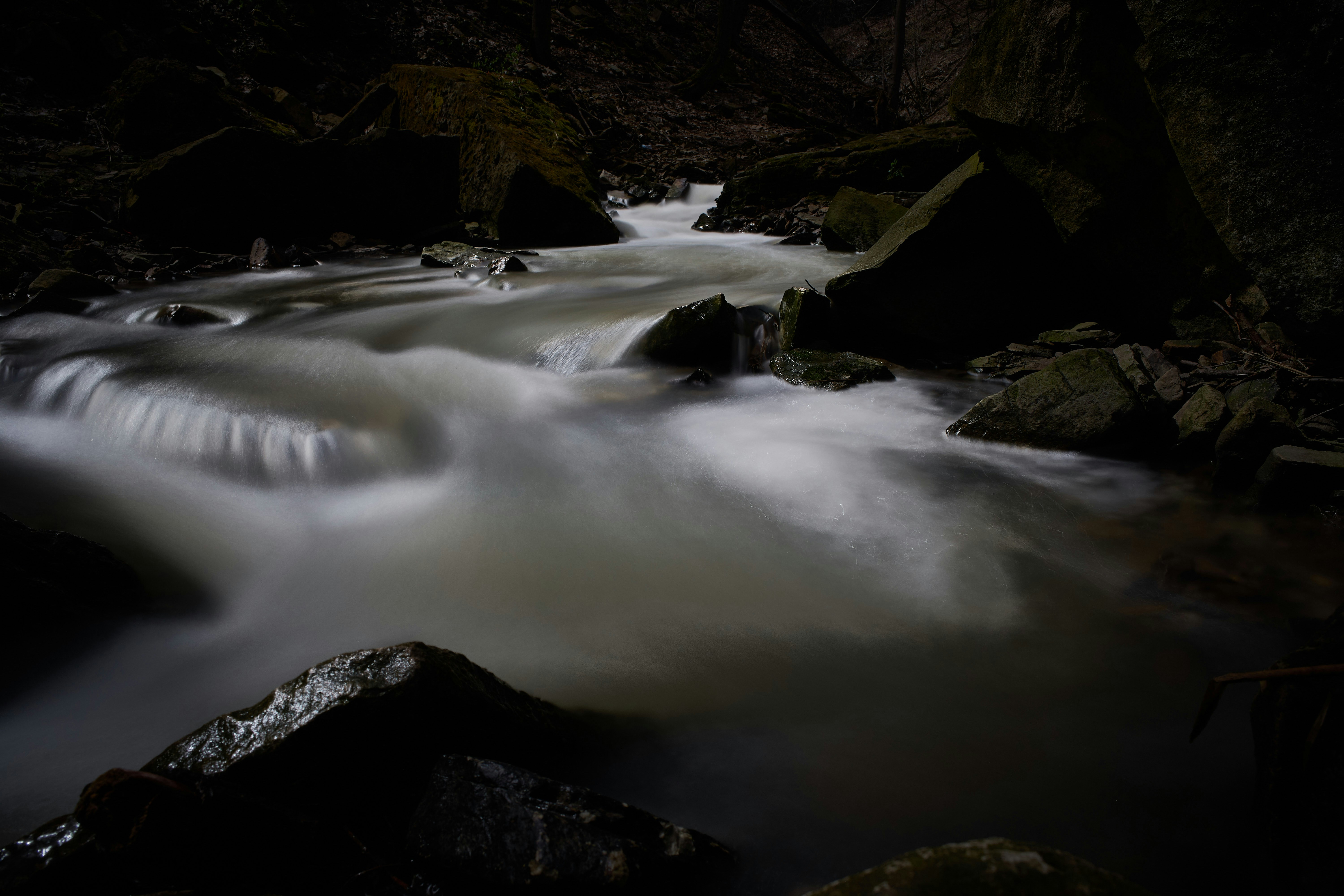 Photo by wolfgang_hasselmann