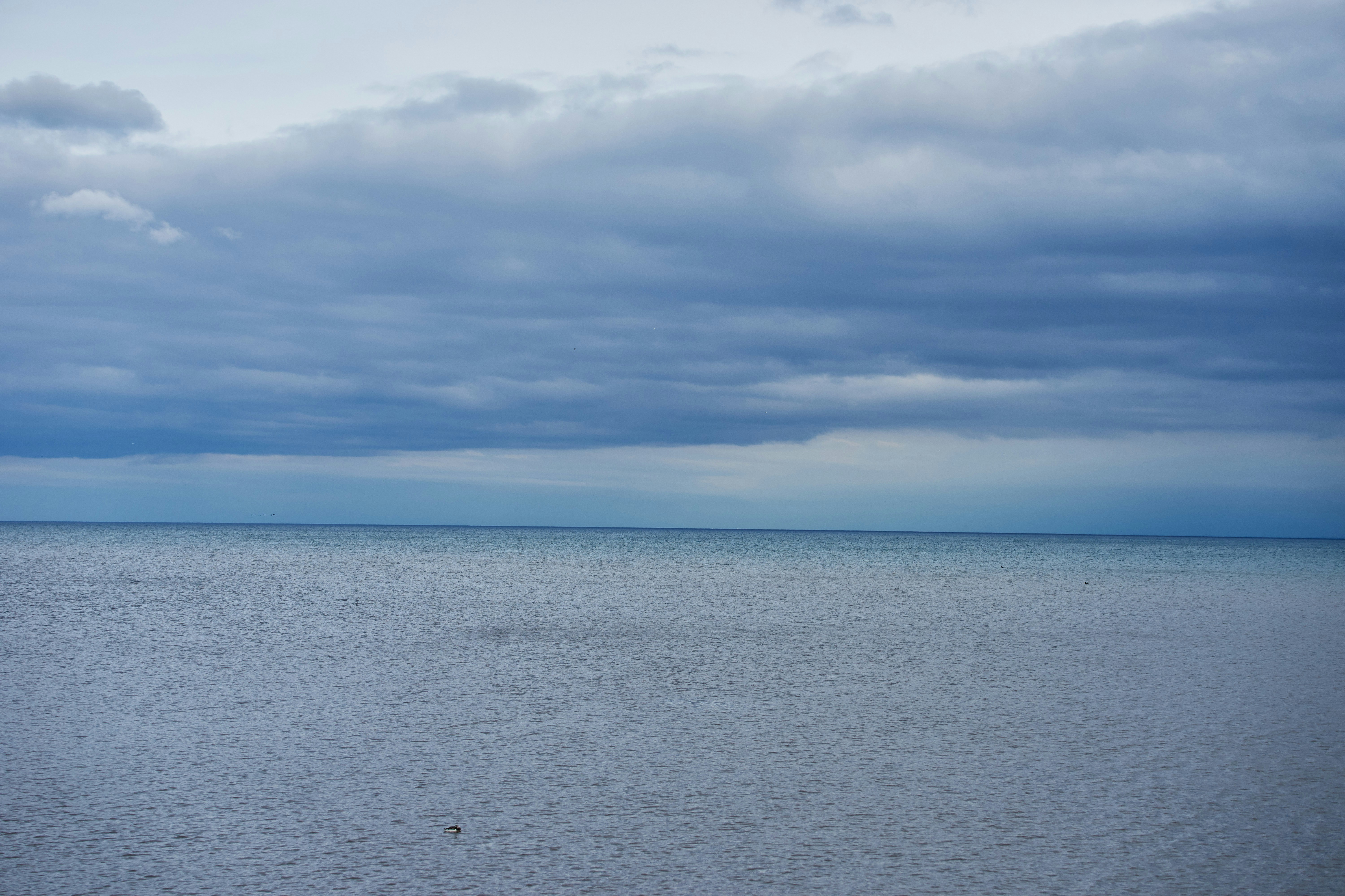 Photo by wolfgang_hasselmann