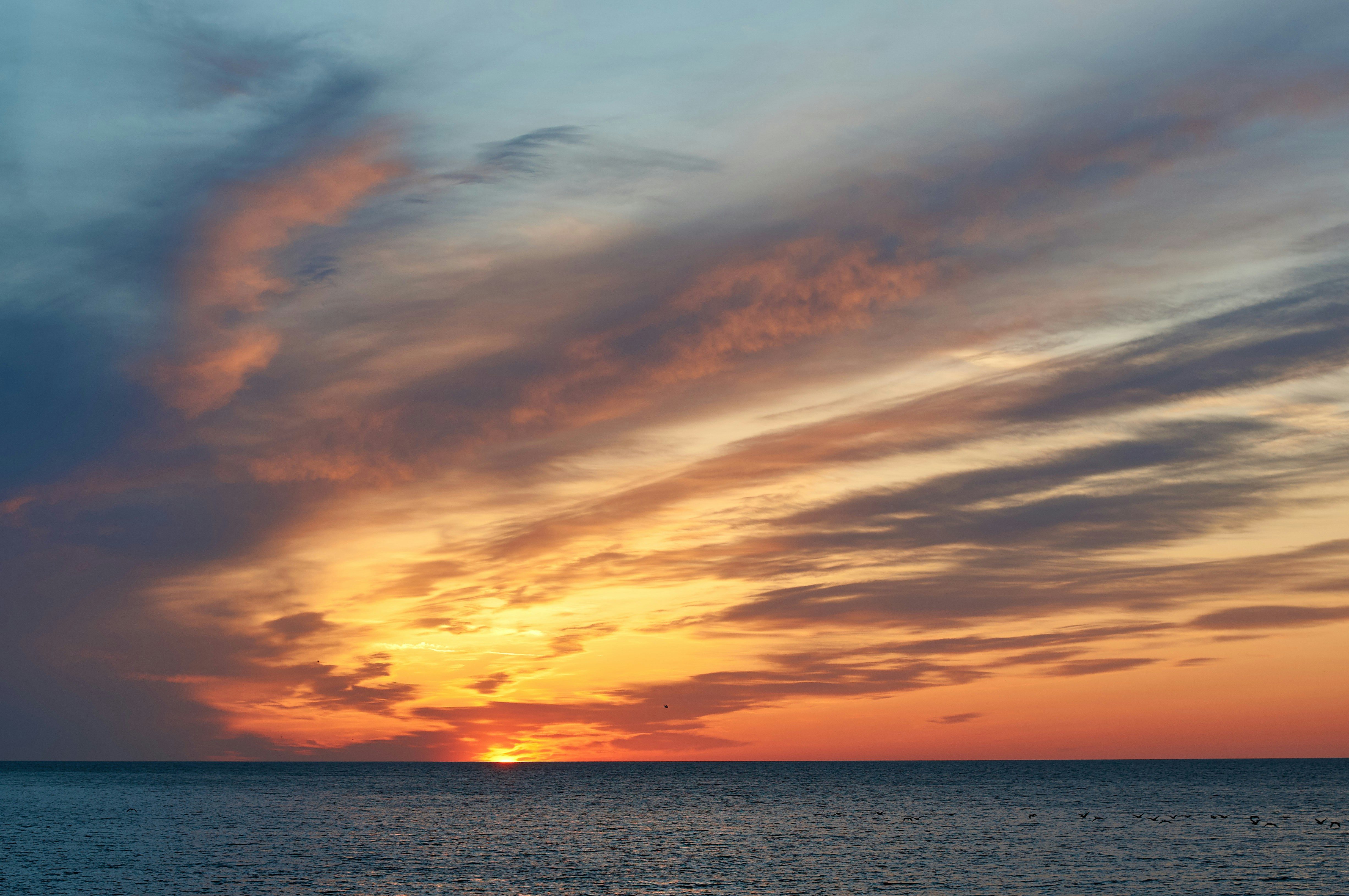 Photo by wolfgang_hasselmann