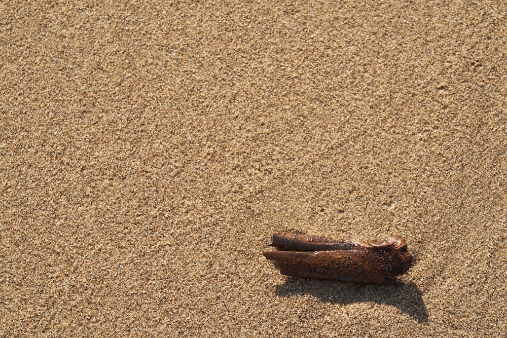 a piece of driftwood on a sandy beach