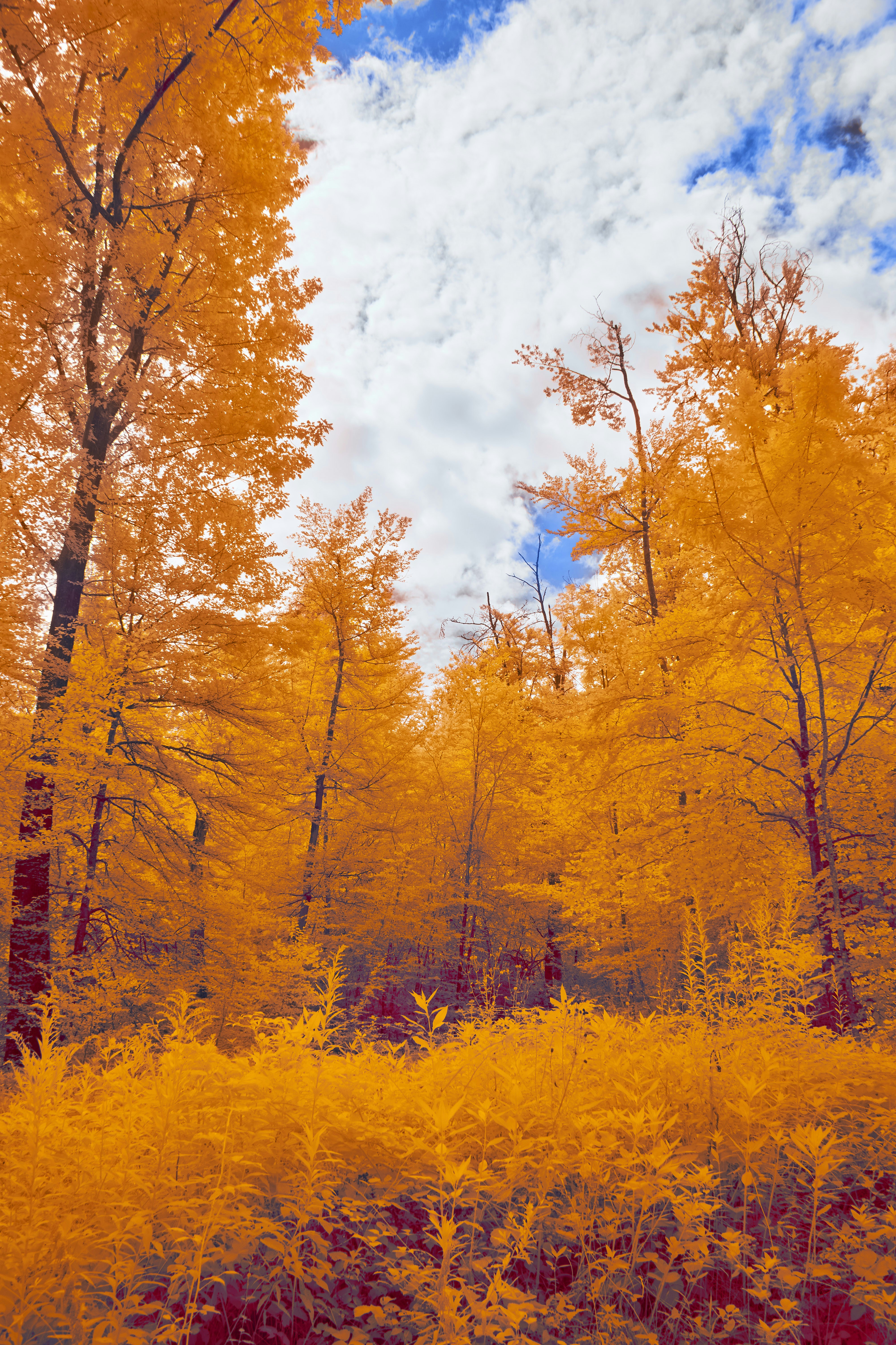 Photo by wolfgang_hasselmann