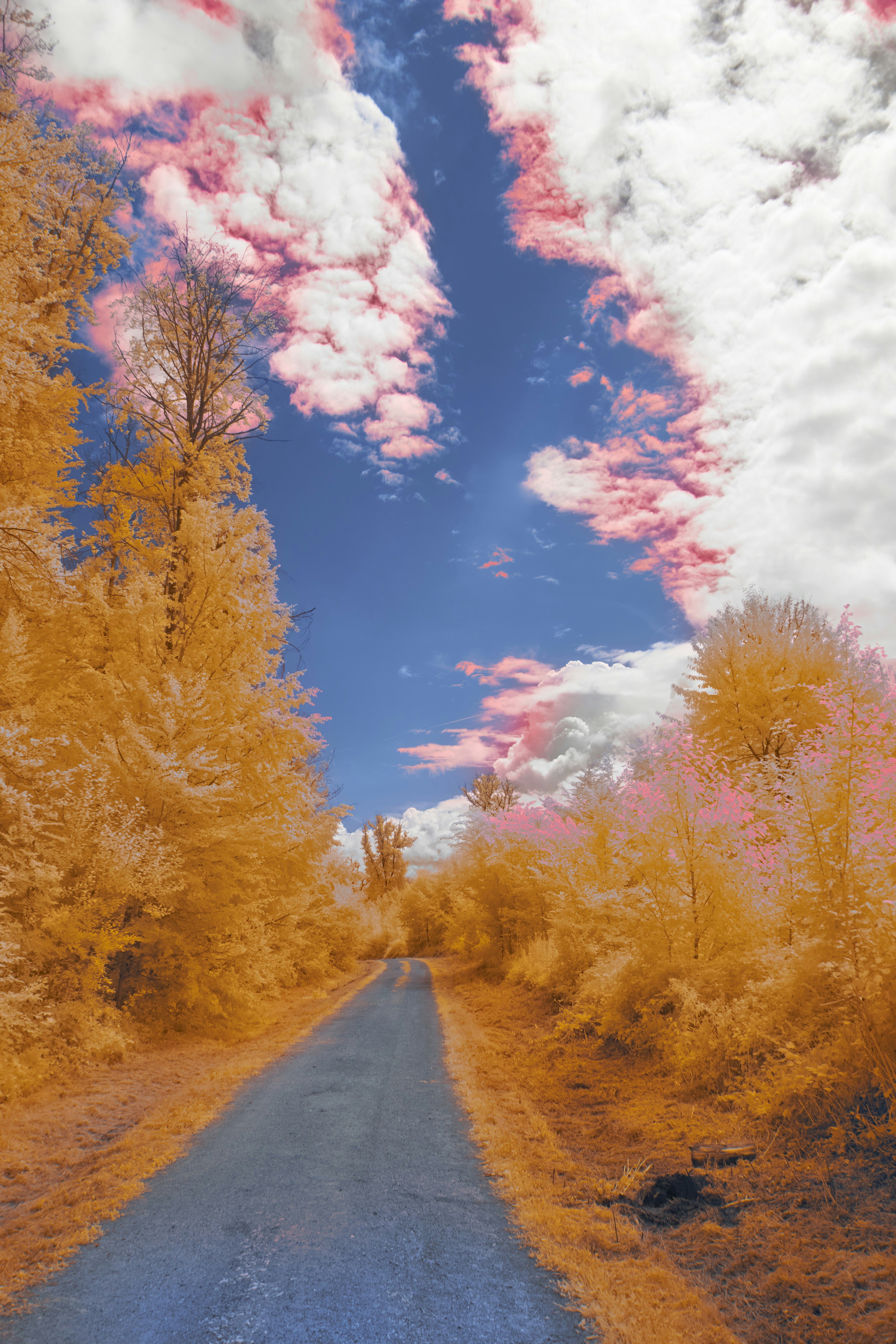 Photo by wolfgang_hasselmann