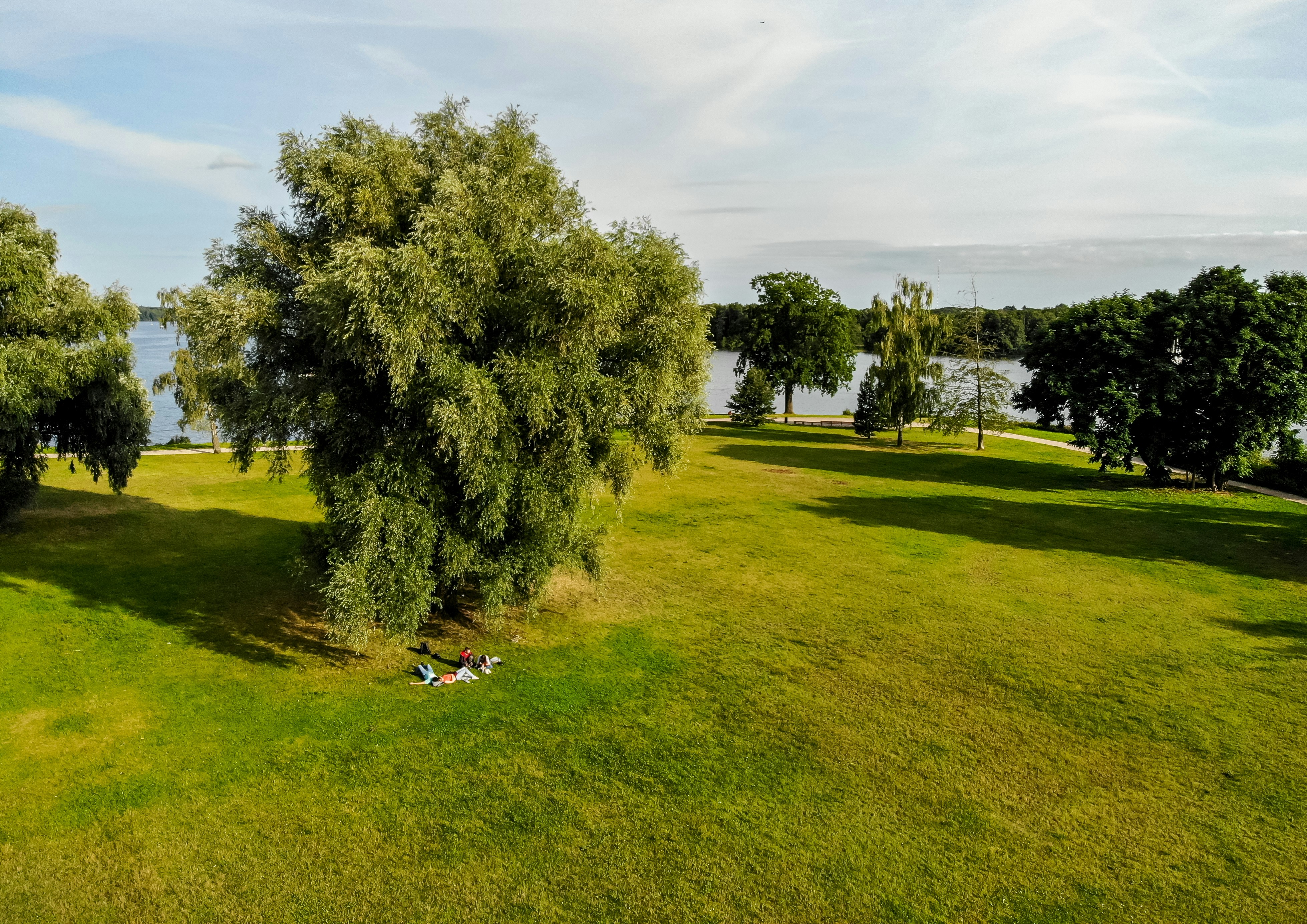 ein grasbewachsenes Feld mit Bäumen und einem Gewässer in der Ferne