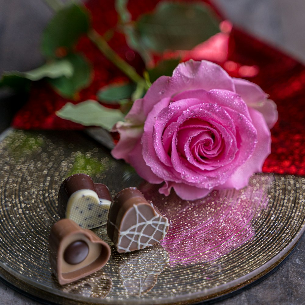 a pink rose sitting on top of a plate