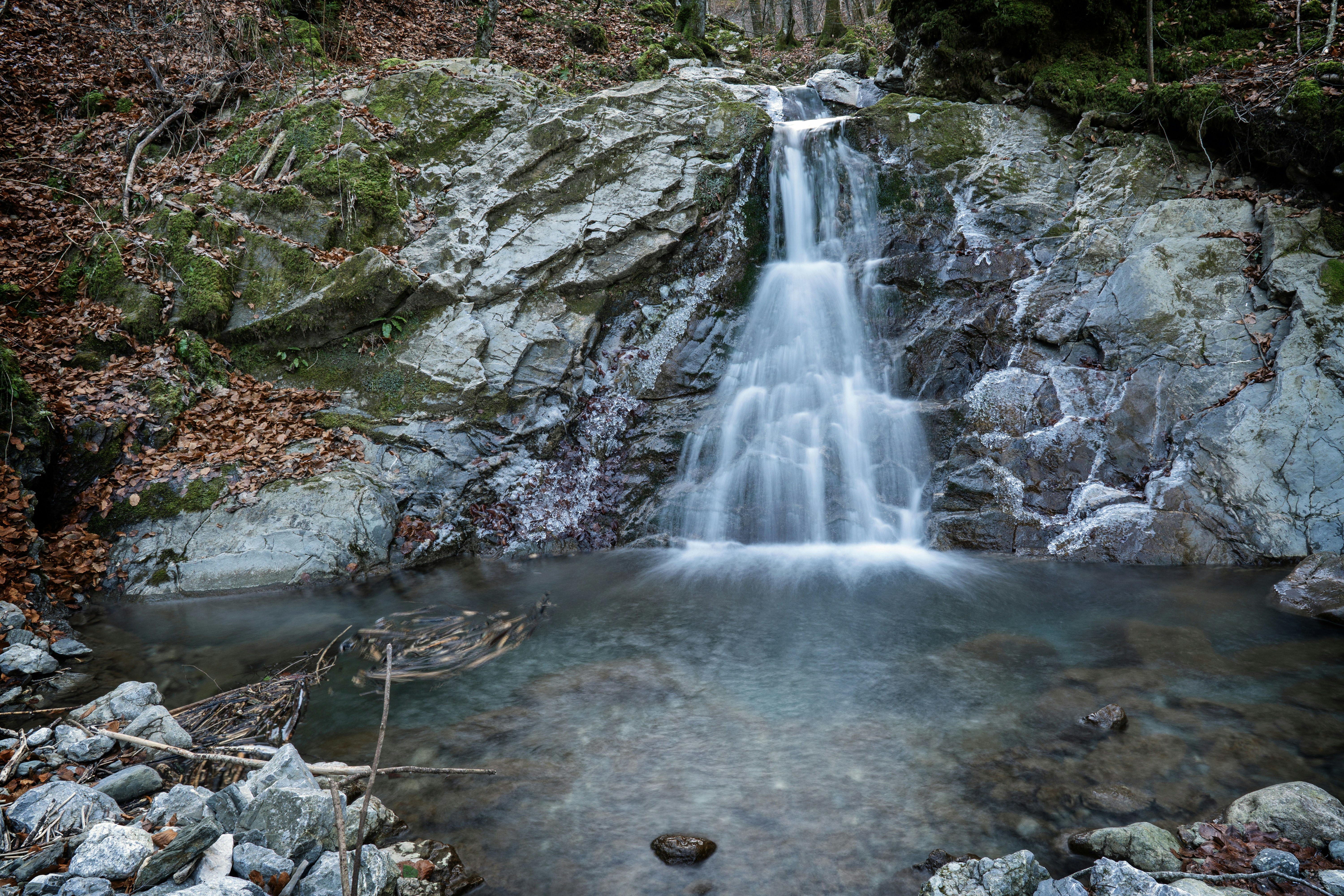 Photo by matteosoldati
