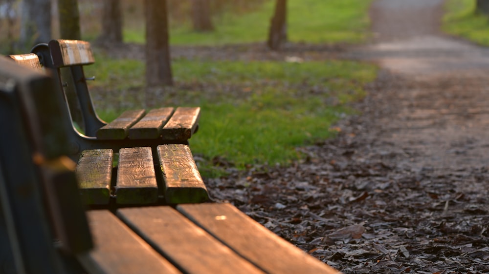 葉っぱに覆われた地面の上に座っている公園のベンチ