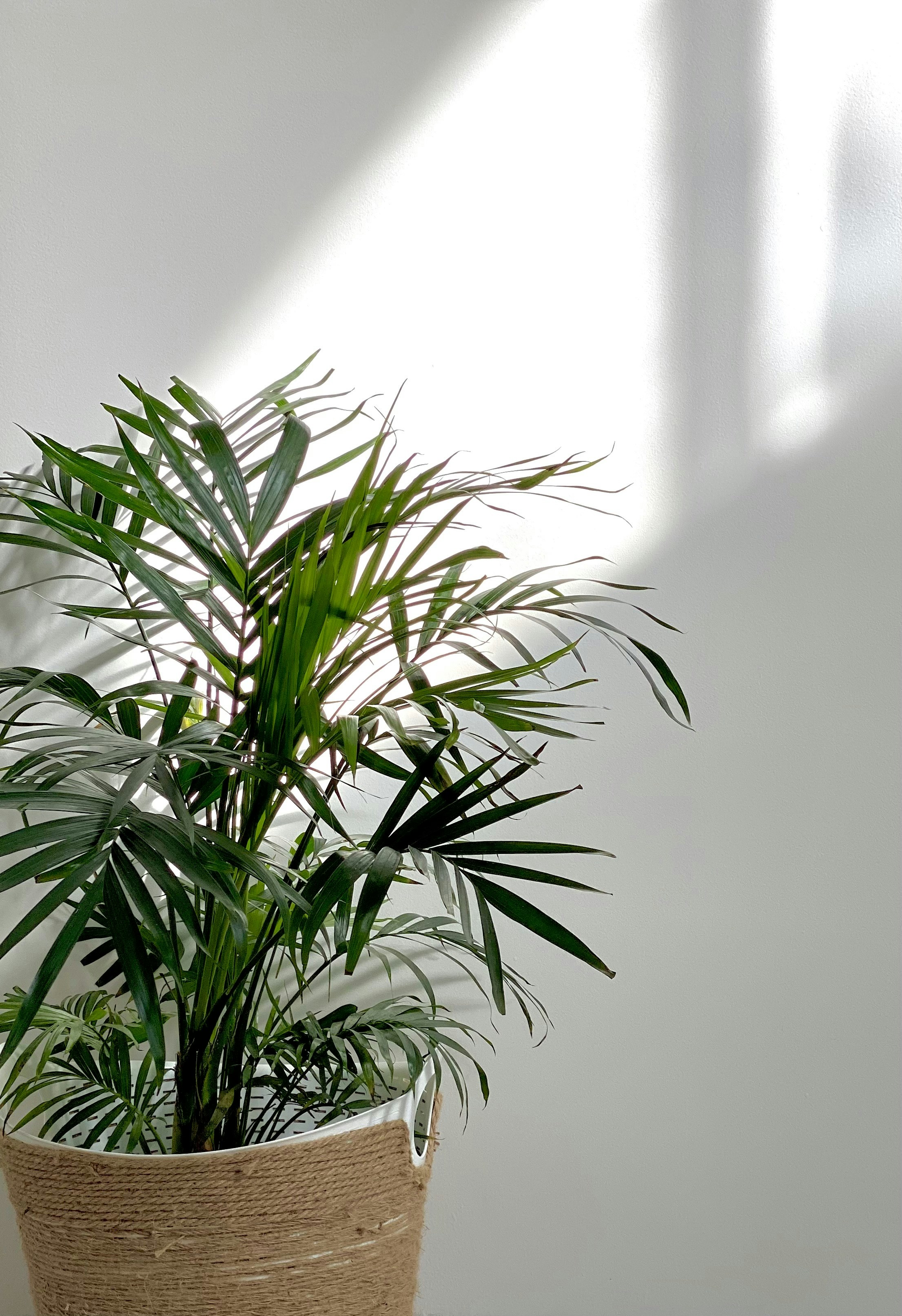 Photo by tamaraashleey