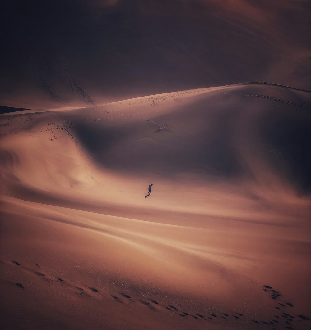 a lone person walking through a vast expanse of sand