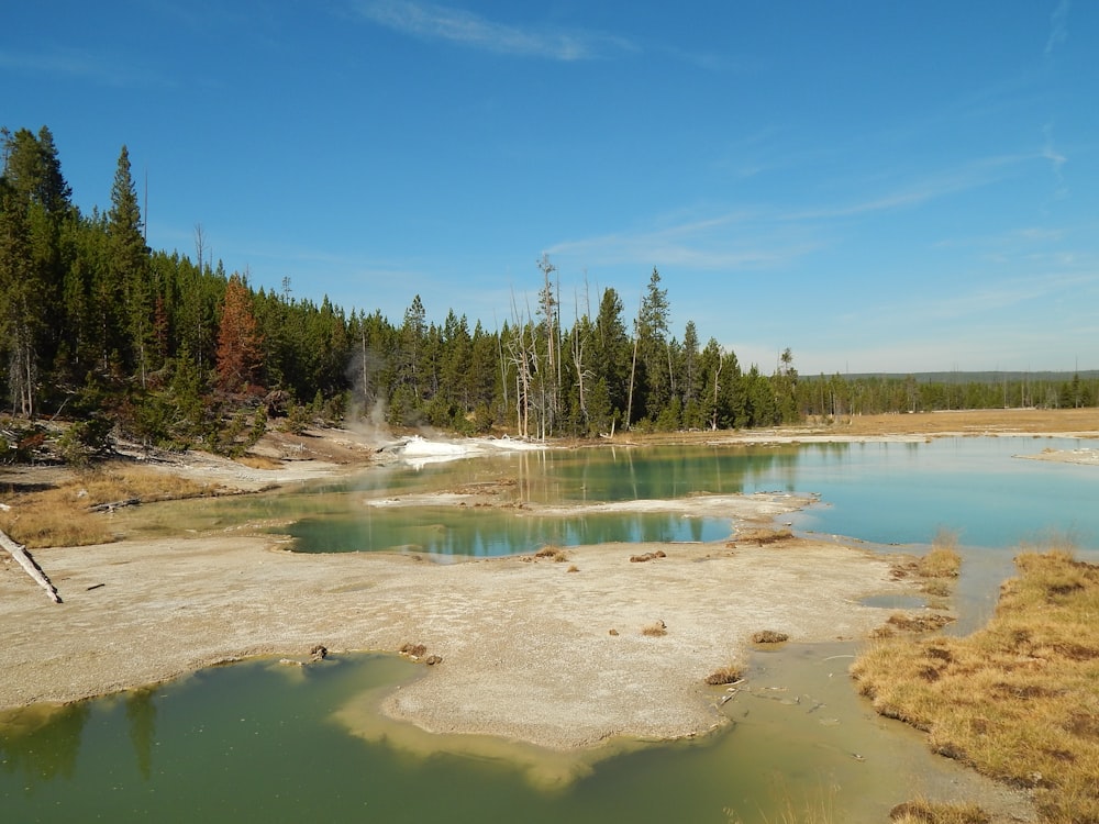 a large body of water surrounded by trees