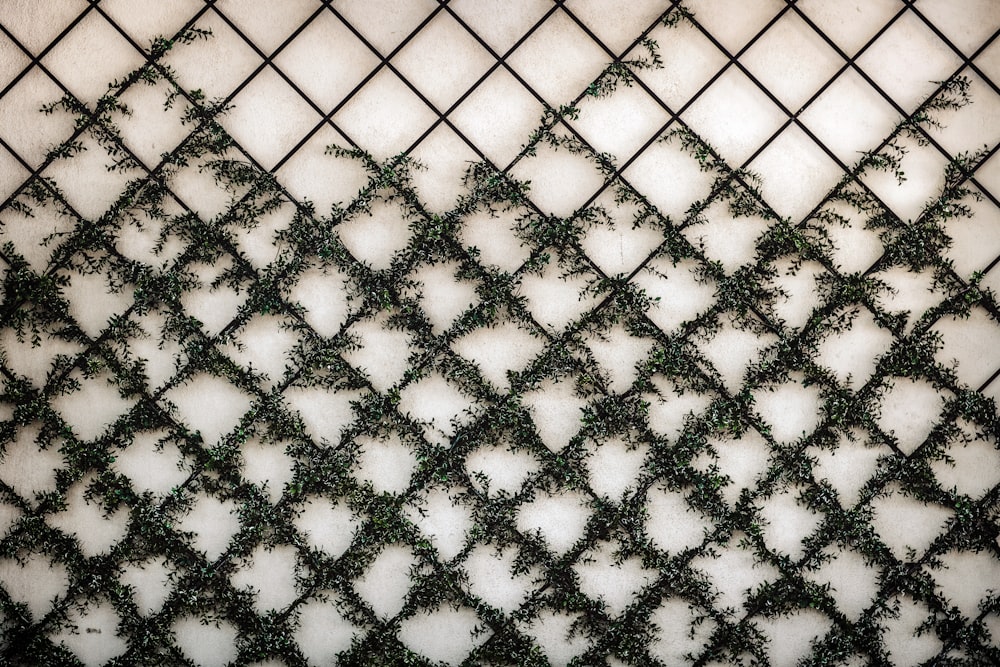 a close up of a wall with vines growing on it