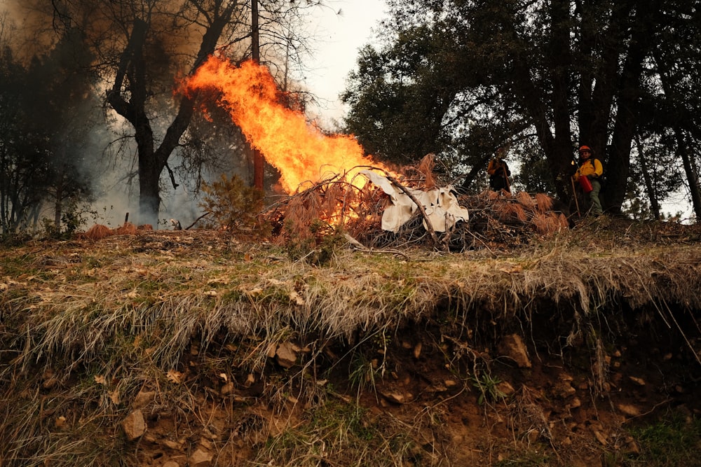 a fire that is burning in a field