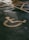 A painted yellow symbol on a textured asphalt surface representing a wheelchair-accessible parking space. The background shows part of a grid of yellow lines indicating the parking area.