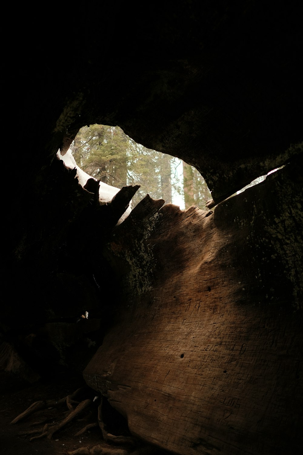 a dark cave with a light coming from it