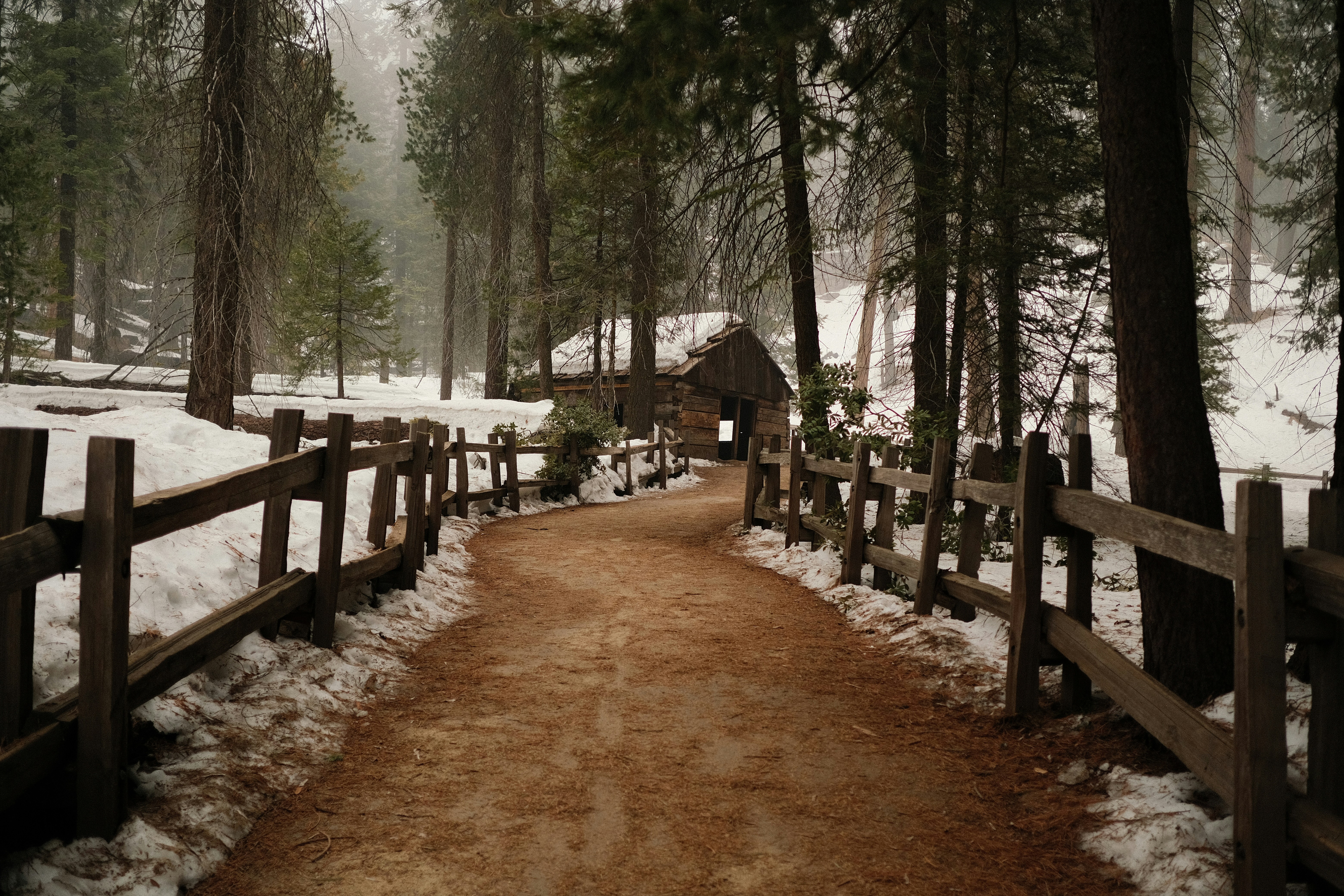 a path in the woods with snow on the ground
