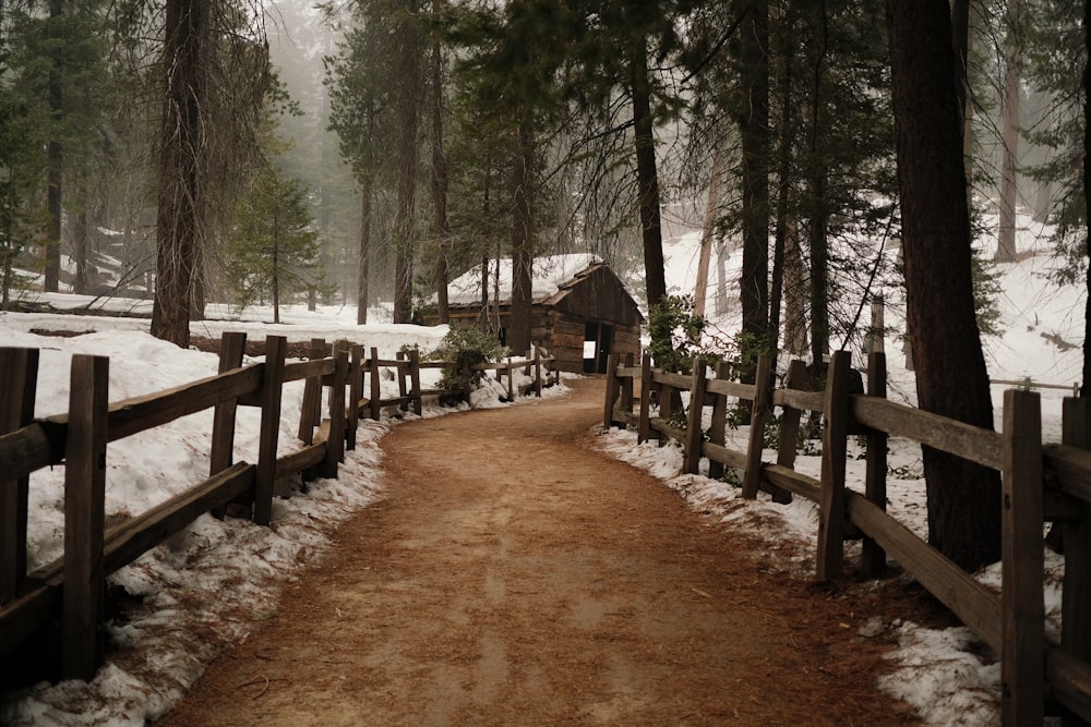 a path in the woods with snow on the ground