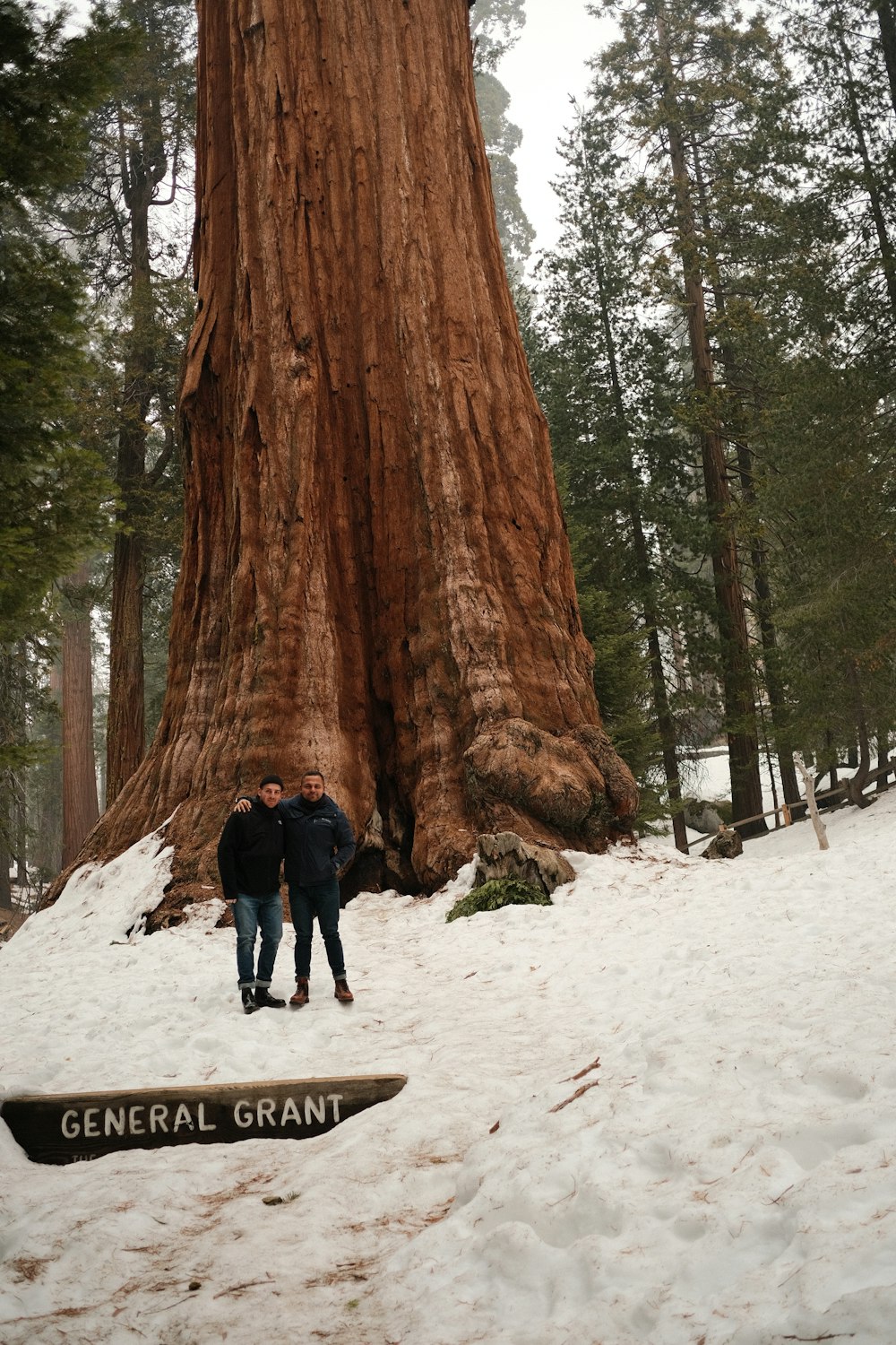 two people standing in front of a large tree