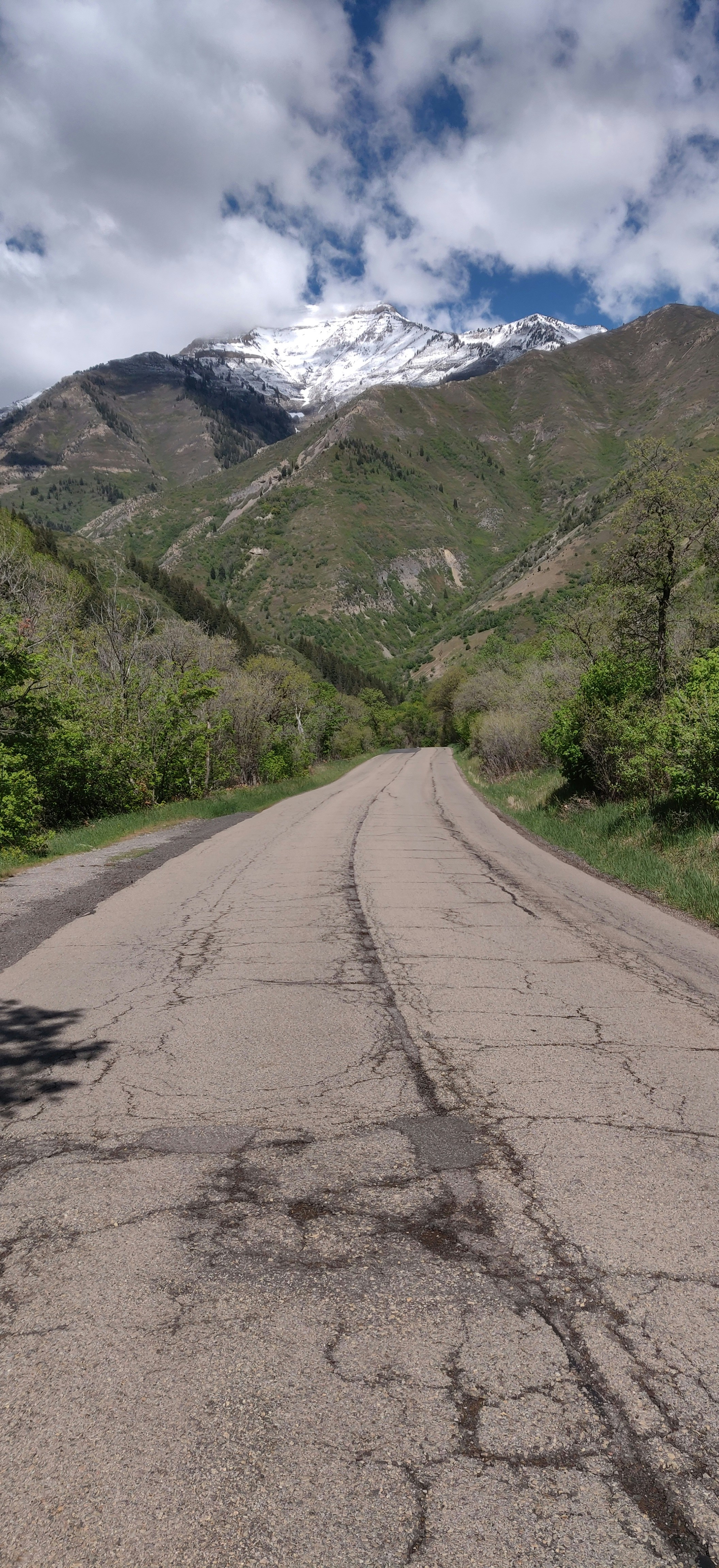 a road with a mountain in the background