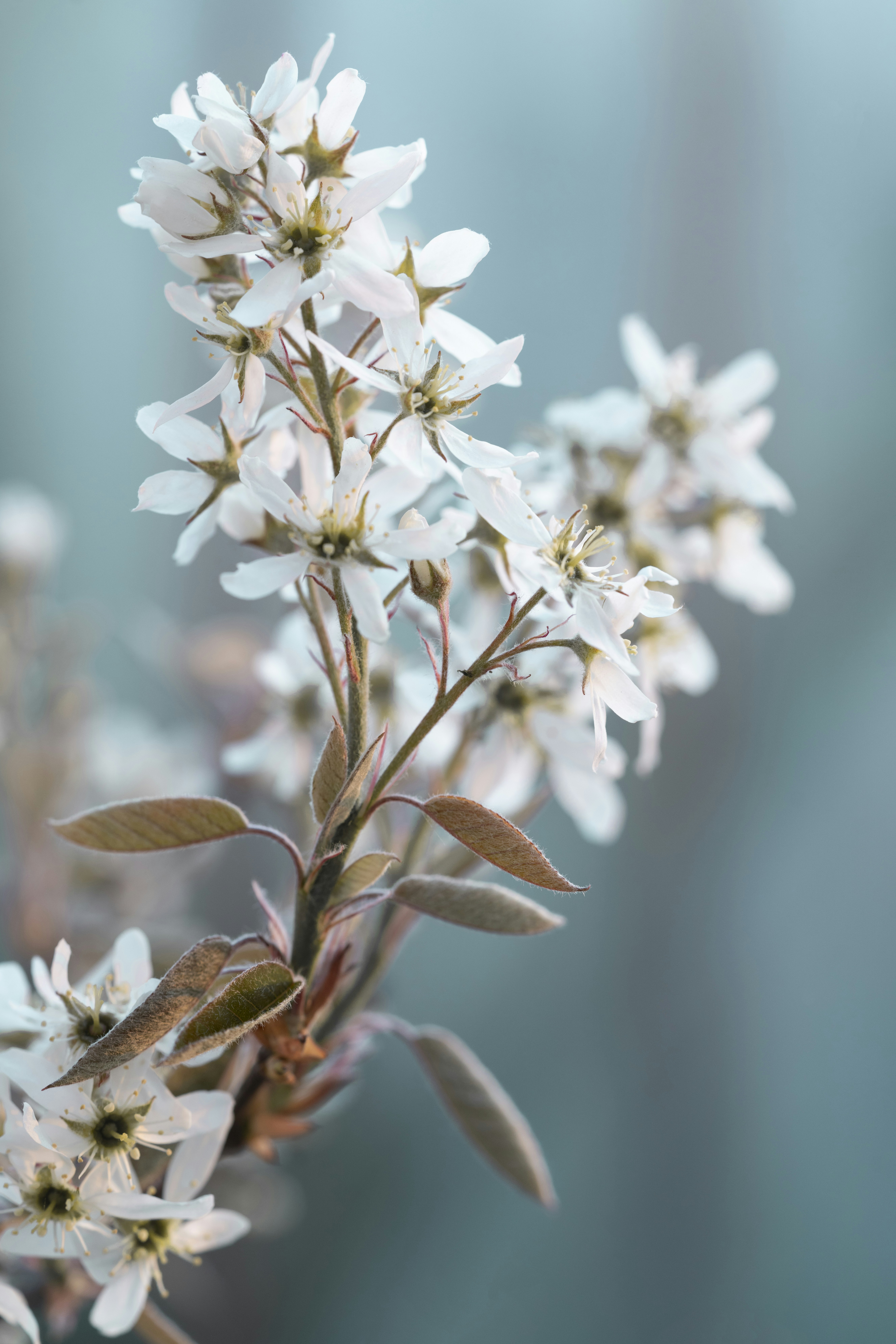 Photo by photosbyfrk