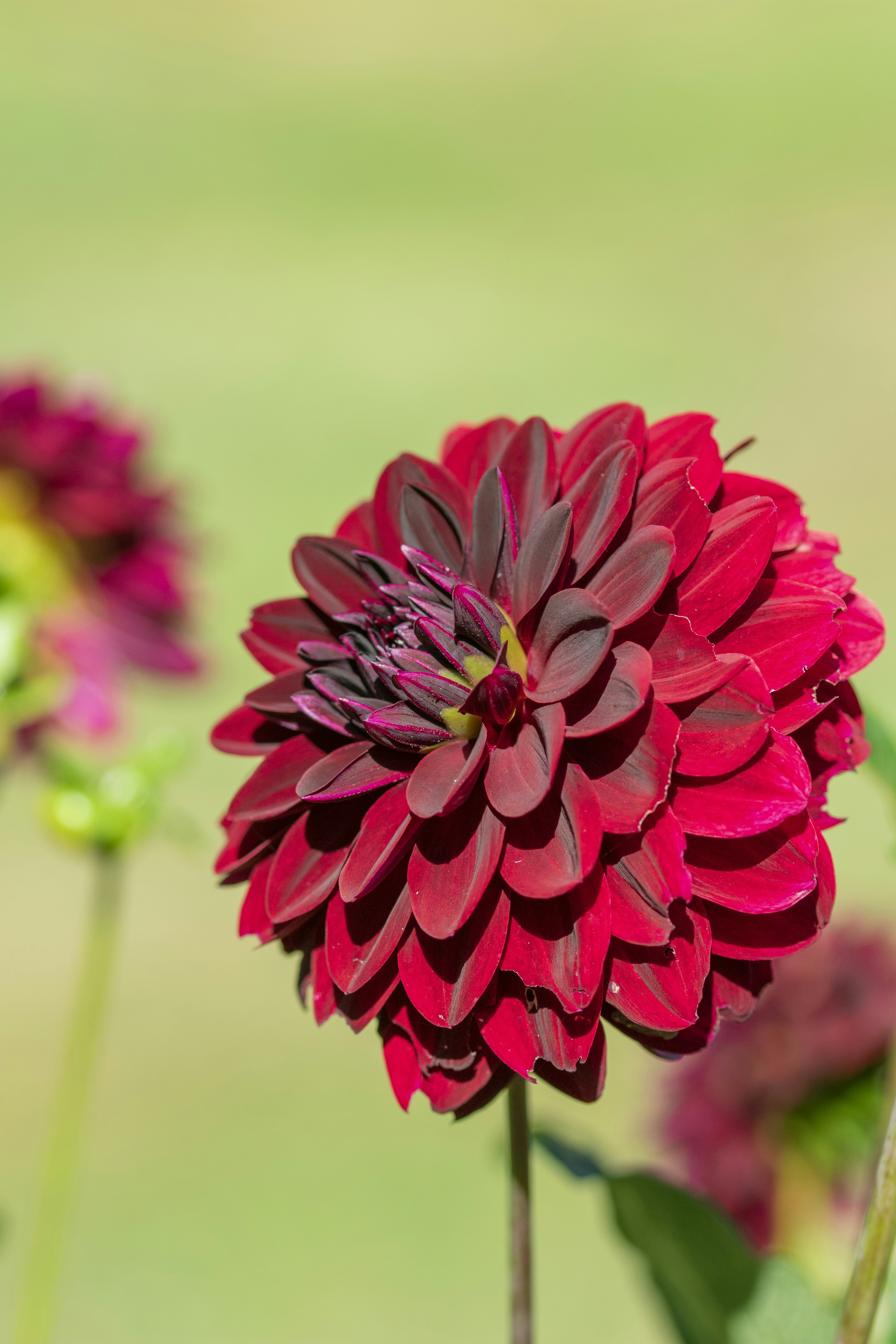 Photo by ellephant_photography